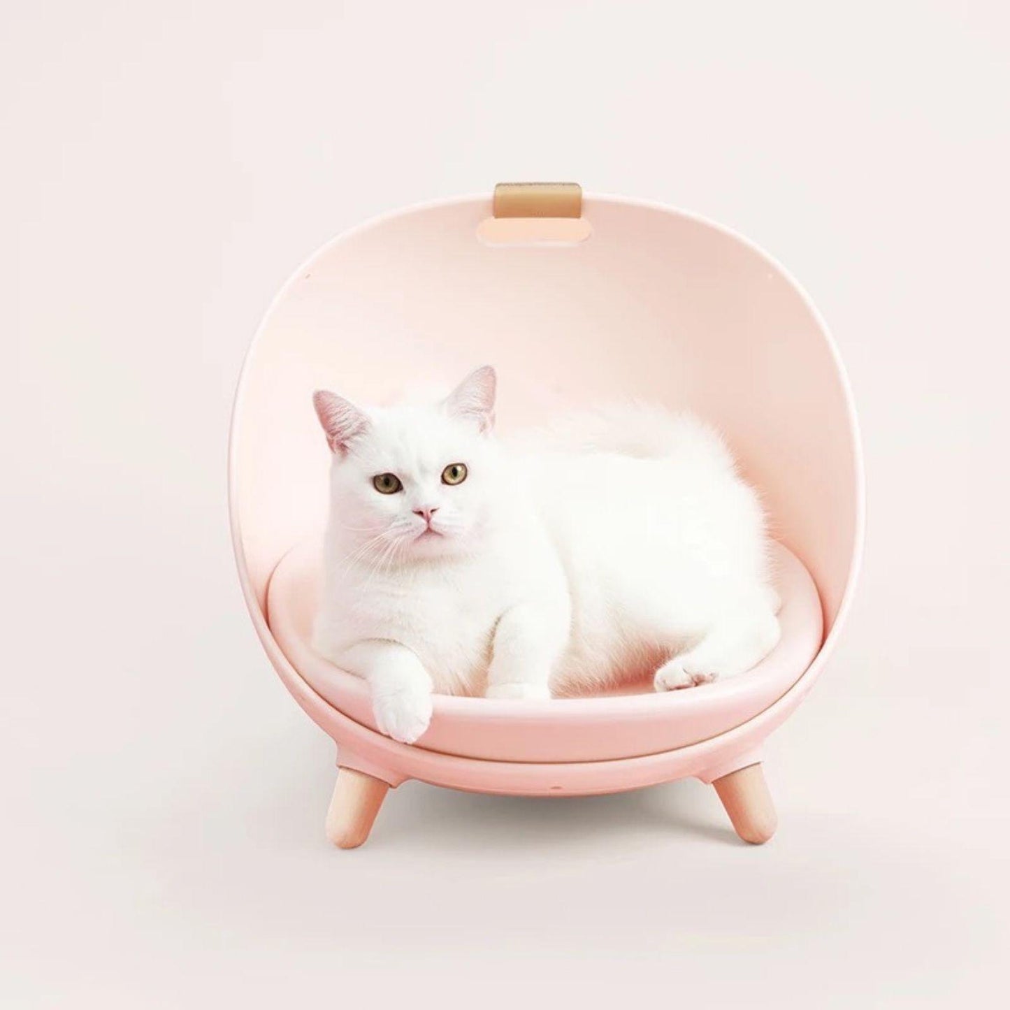 Makesure DAFU 4in1 Cat Bed Sofa with Hanging Stripe and Cushion - {{product.type}} - PawPawUp