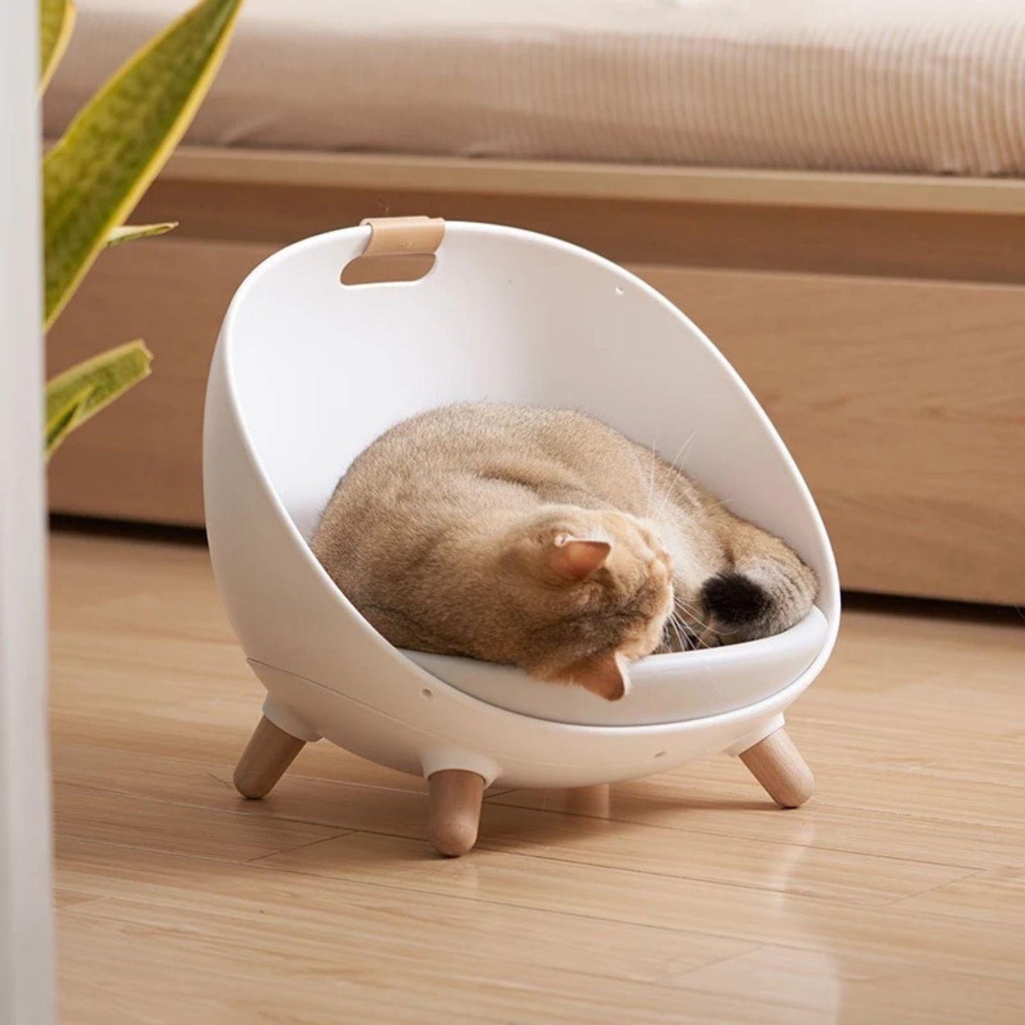 Makesure DAFU 4in1 Cat Bed Sofa with Hanging Stripe and Cushion - {{product.type}} - PawPawUp