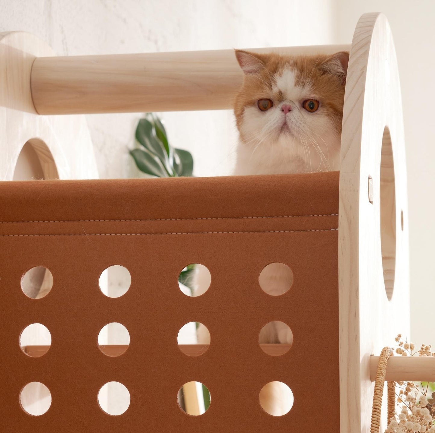 Makesure Luxury Wooden Cat Tree Cat Furniture - {{product.type}} - PawPawUp