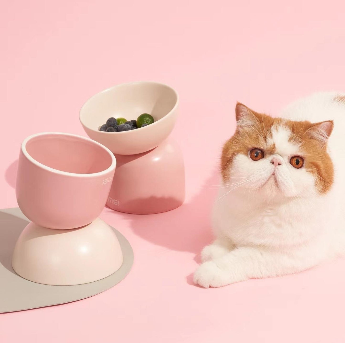 Makesure Sugar Bean Ceramic Double Pet Bowls For Cat and Small Dogs - {{product.type}} - PawPawUp