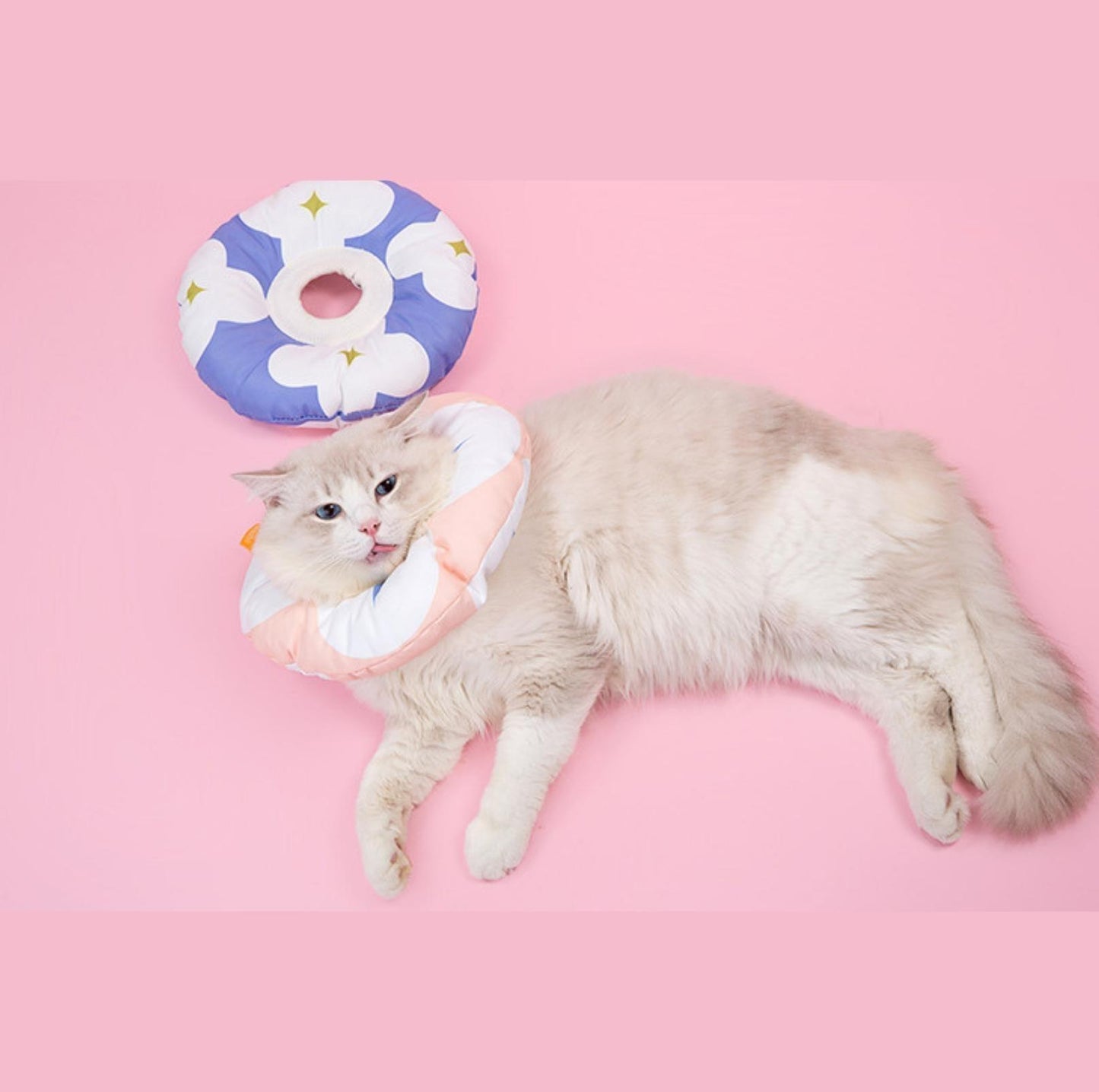 Miaoho Flower Pattern Water-Proof Pet Recovery Collar - {{product.type}} - PawPawUp