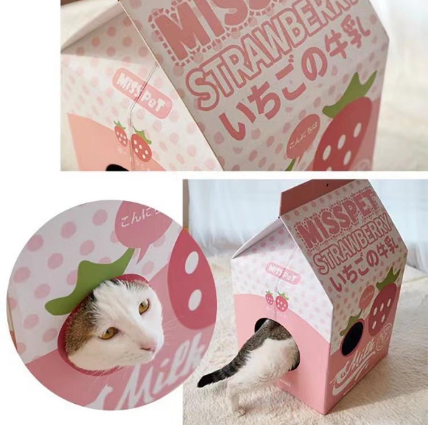 Misspet Milk Box | Cat Scratcher and Nest - {{product.type}} - PawPawUp
