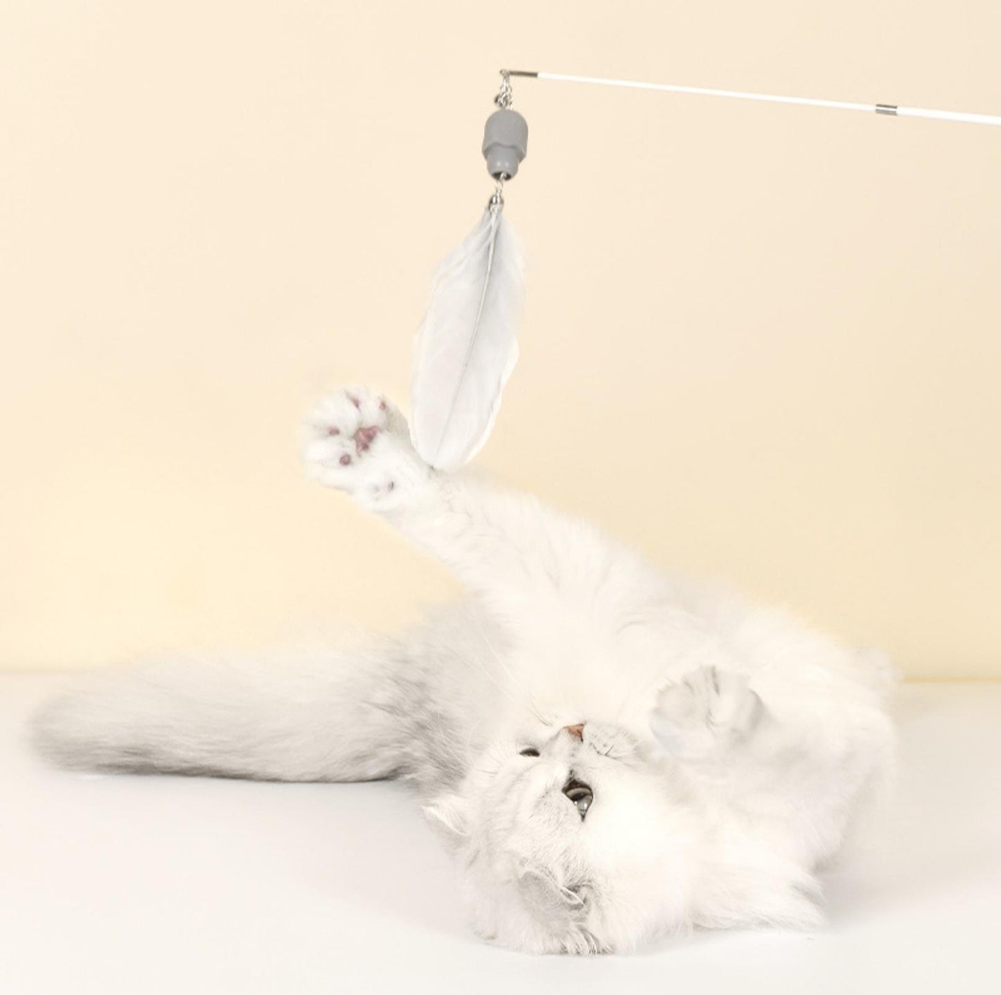 Pakeway Cat Stick With Laser and Chewable Teasing Head Cat Toys - {{product.type}} - PawPawUp