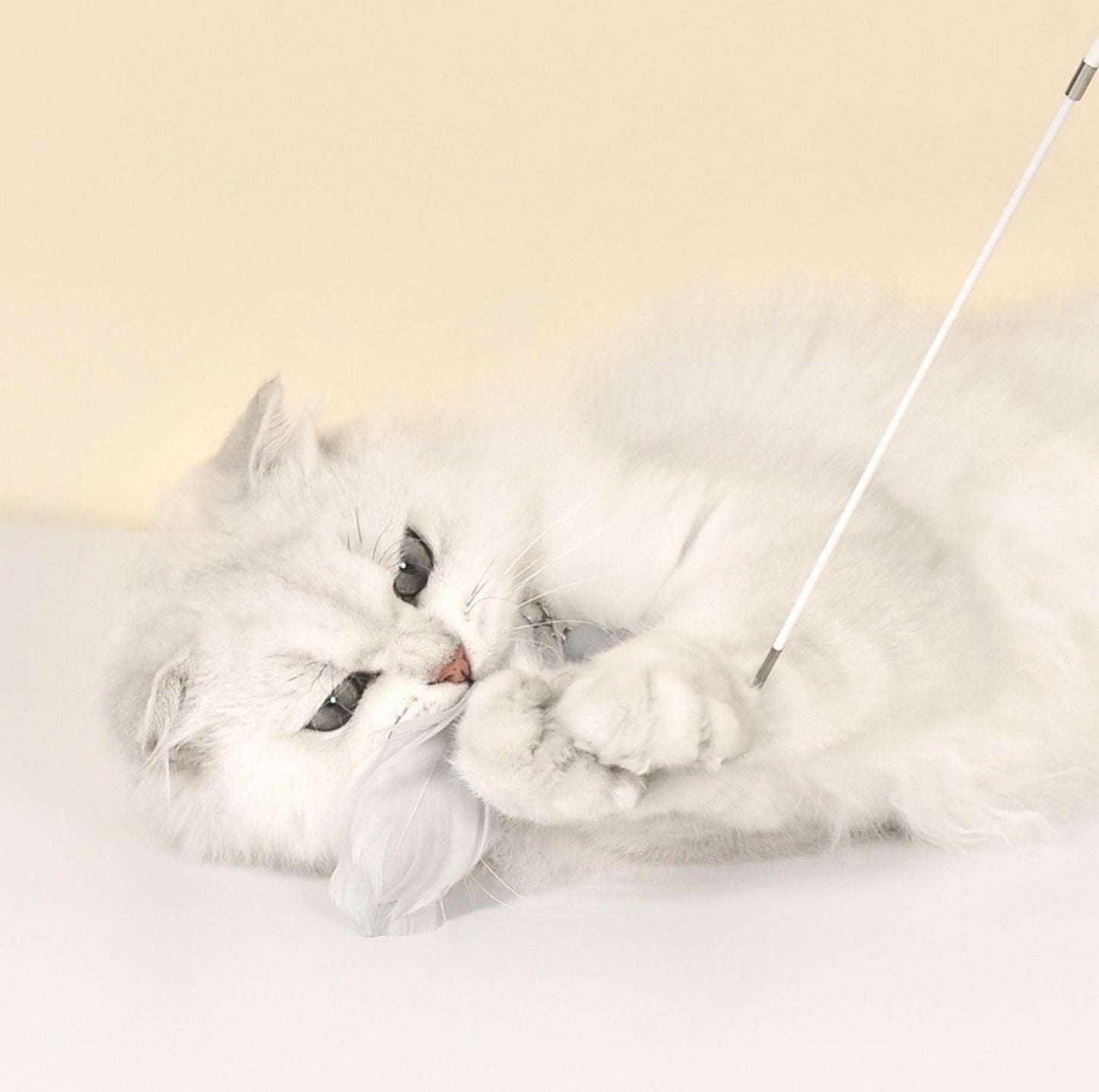 Pakeway Cat Stick With Laser and Chewable Teasing Head Cat Toys - {{product.type}} - PawPawUp