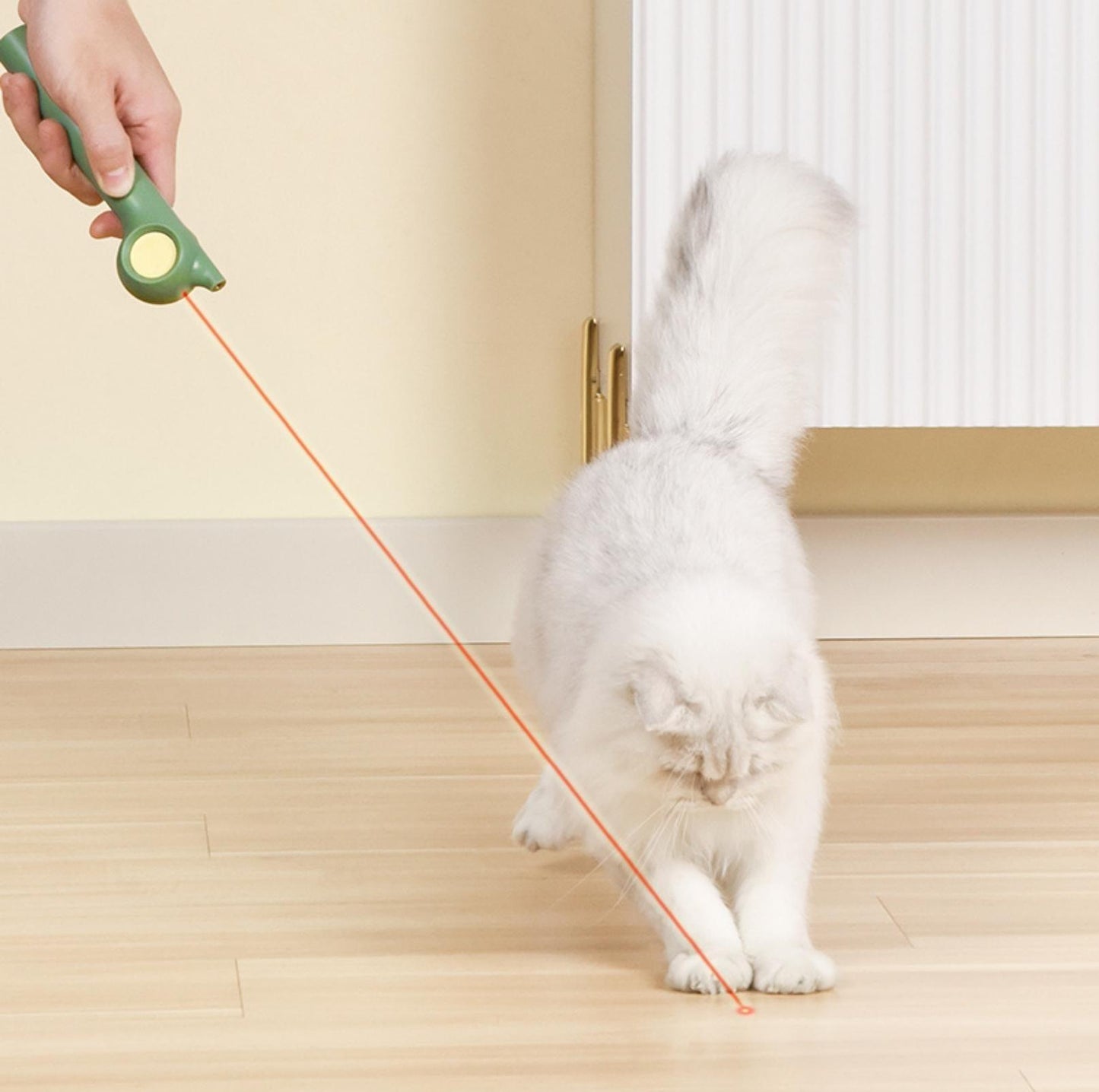 Pakeway Cat Stick With Laser and Chewable Teasing Head Cat Toys - {{product.type}} - PawPawUp