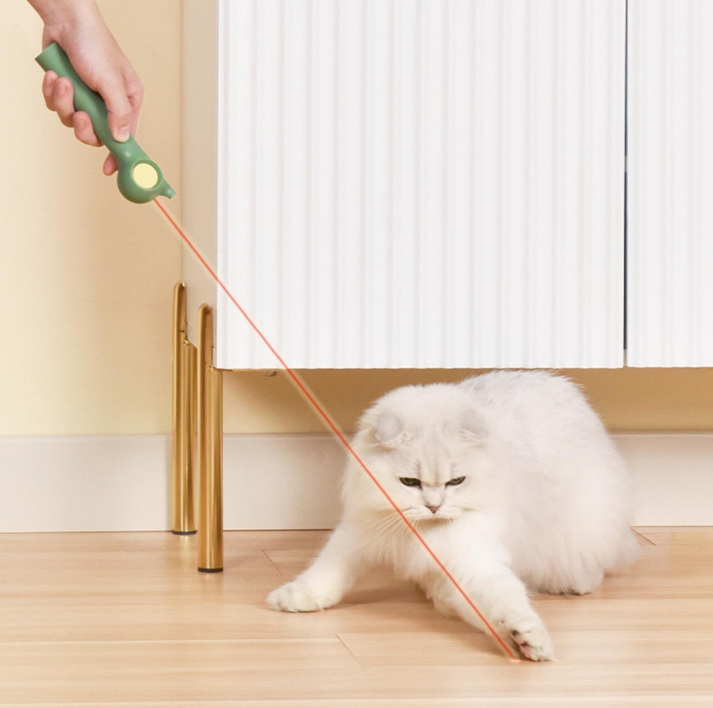 Pakeway Cat Stick With Laser and Chewable Teasing Head Cat Toys - {{product.type}} - PawPawUp