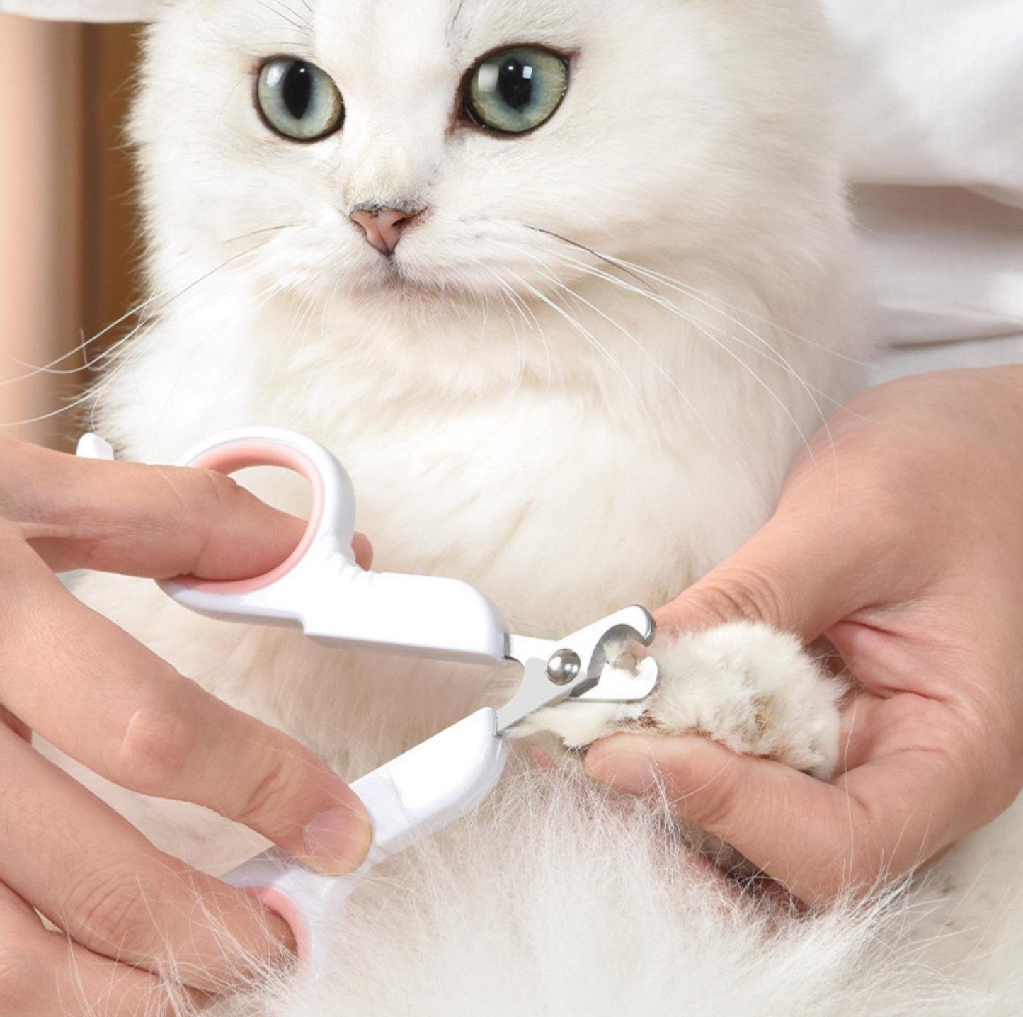 Pakeway pet nail clipper with LED light and cat moss light cat nail clippers - {{product.type}} - PawPawUp