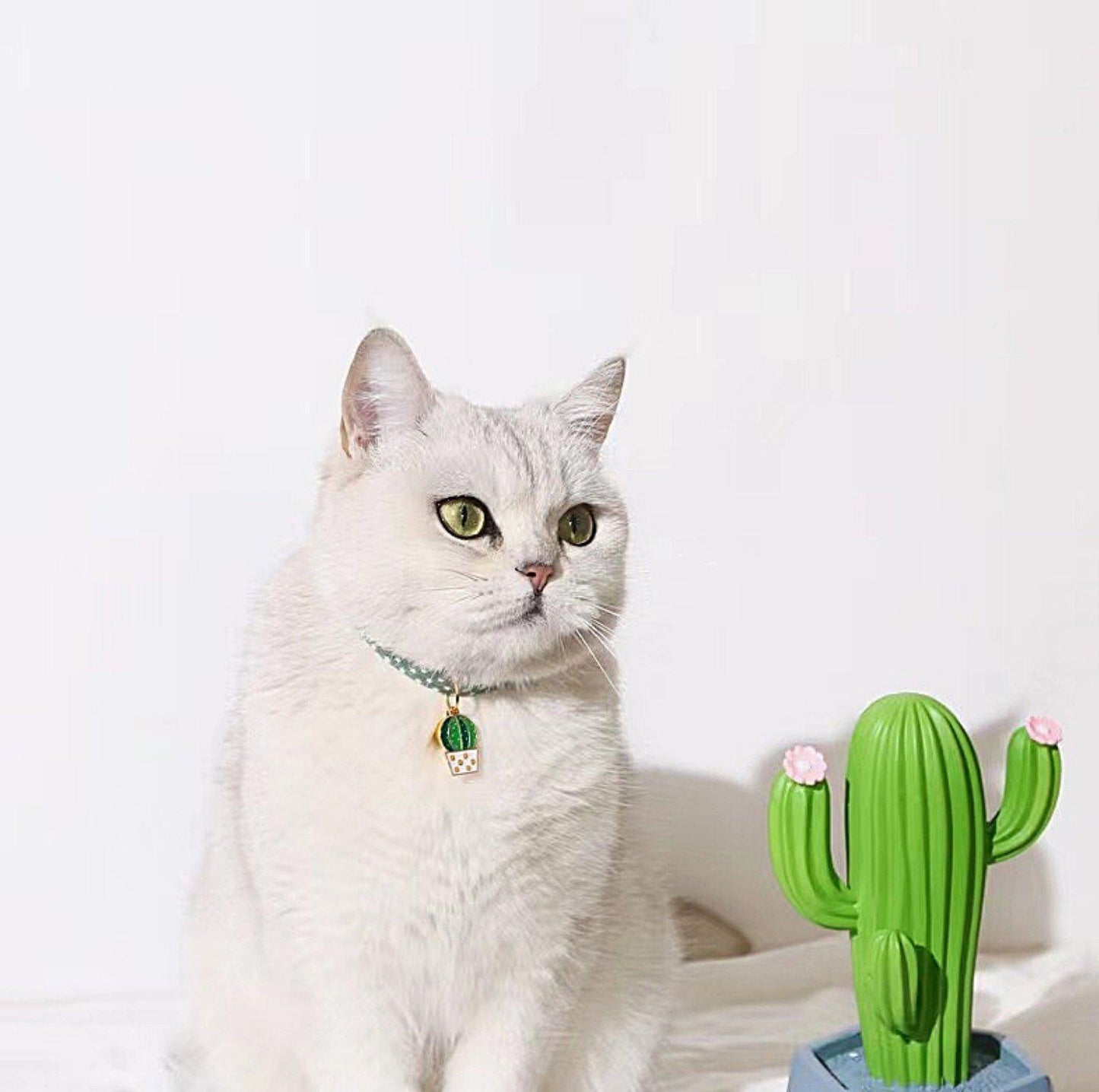 Pendant Style Adjustable Pet Collar - {{product.type}} - PawPawUp