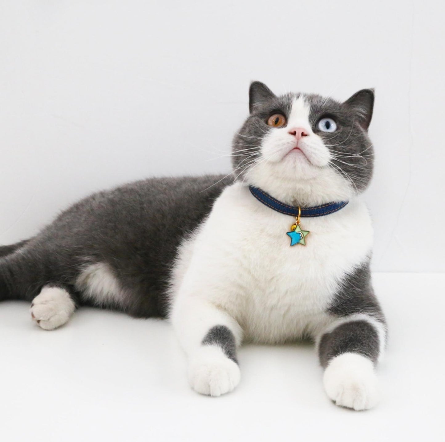 Pet Denim Style Collar - {{product.type}} - PawPawUp