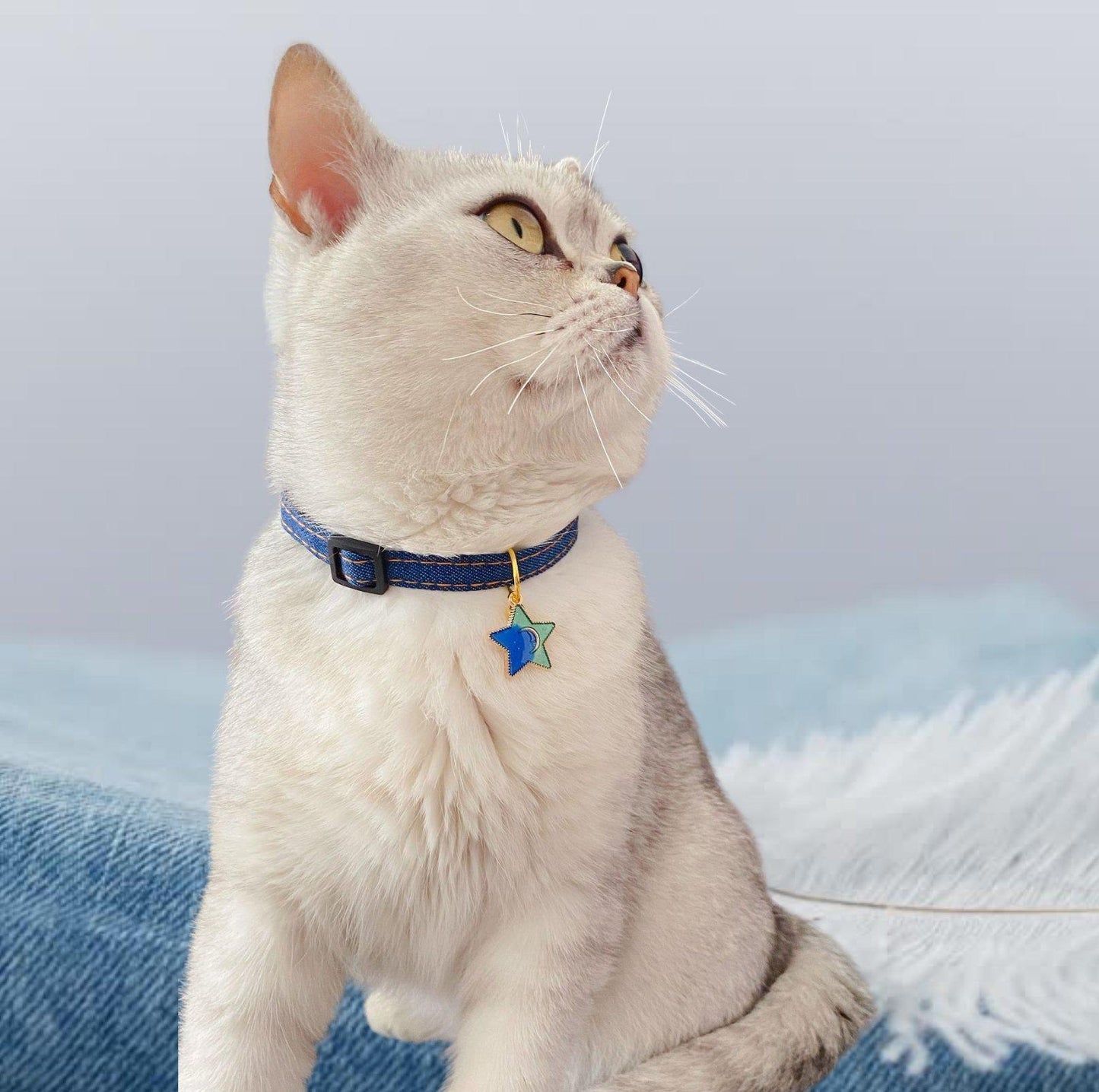 Pet Denim Style Collar - {{product.type}} - PawPawUp