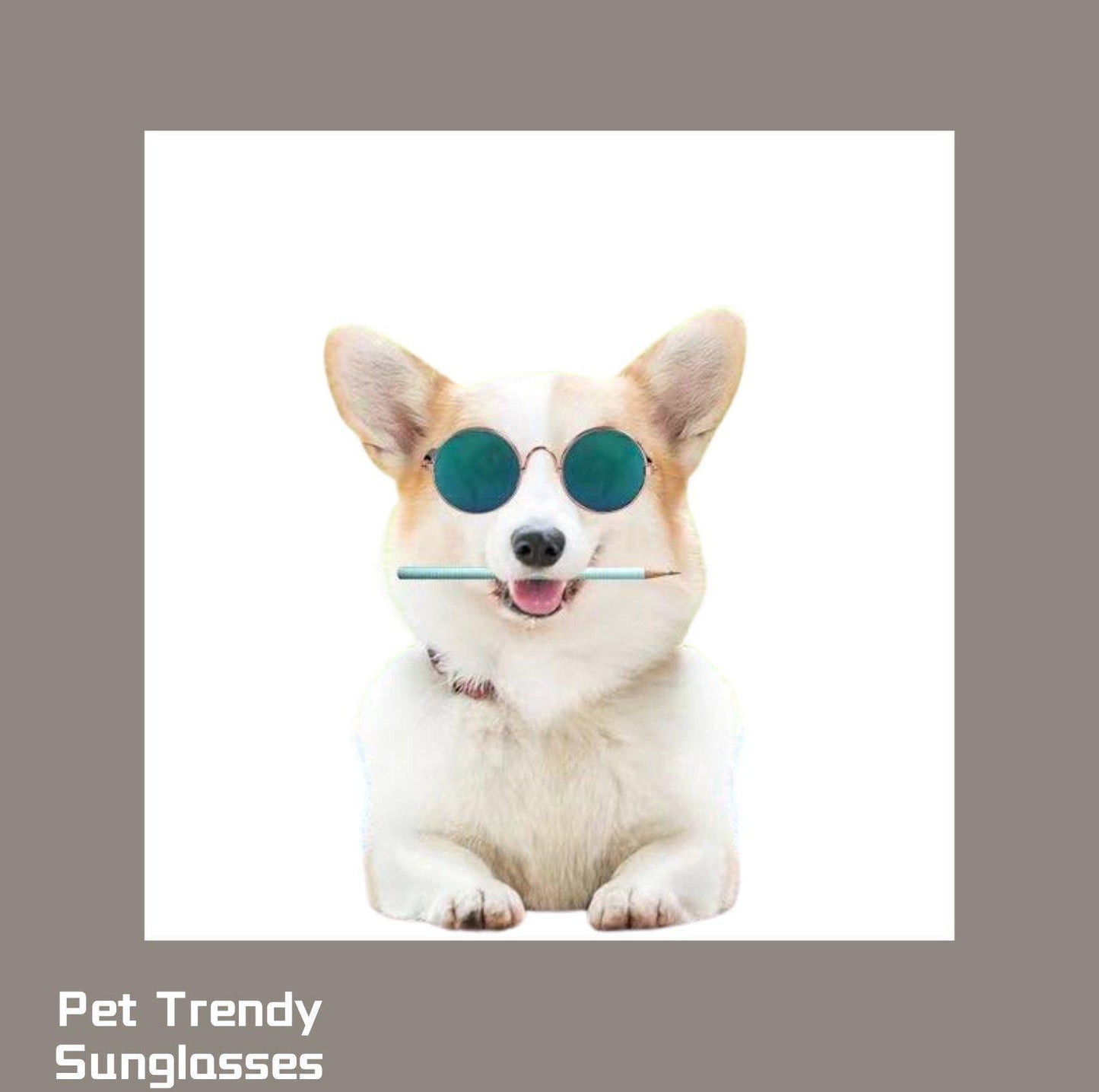 Pet Trendy Sunglasses - {{product.type}} - PawPawUp