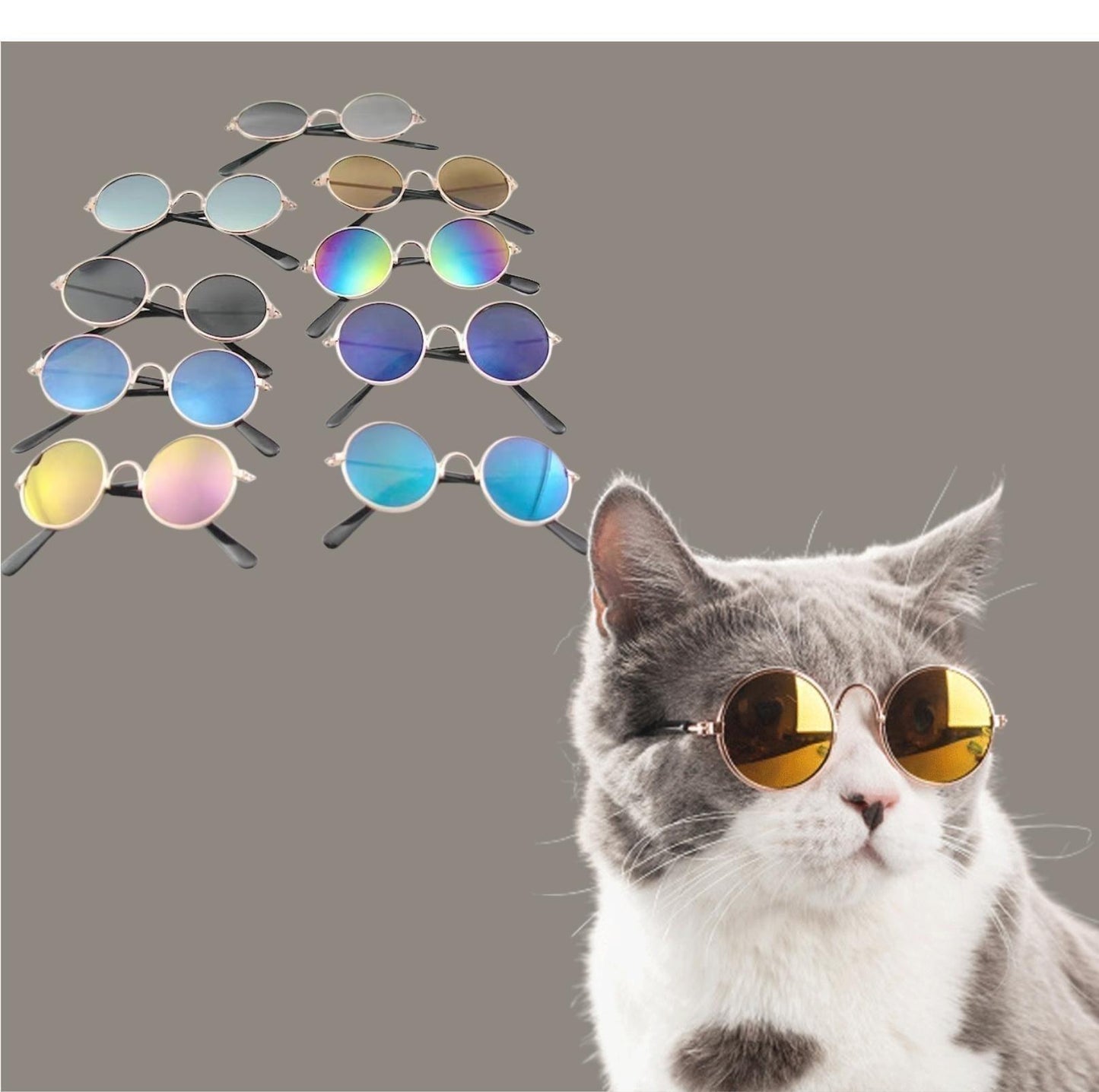 Pet Trendy Sunglasses - {{product.type}} - PawPawUp