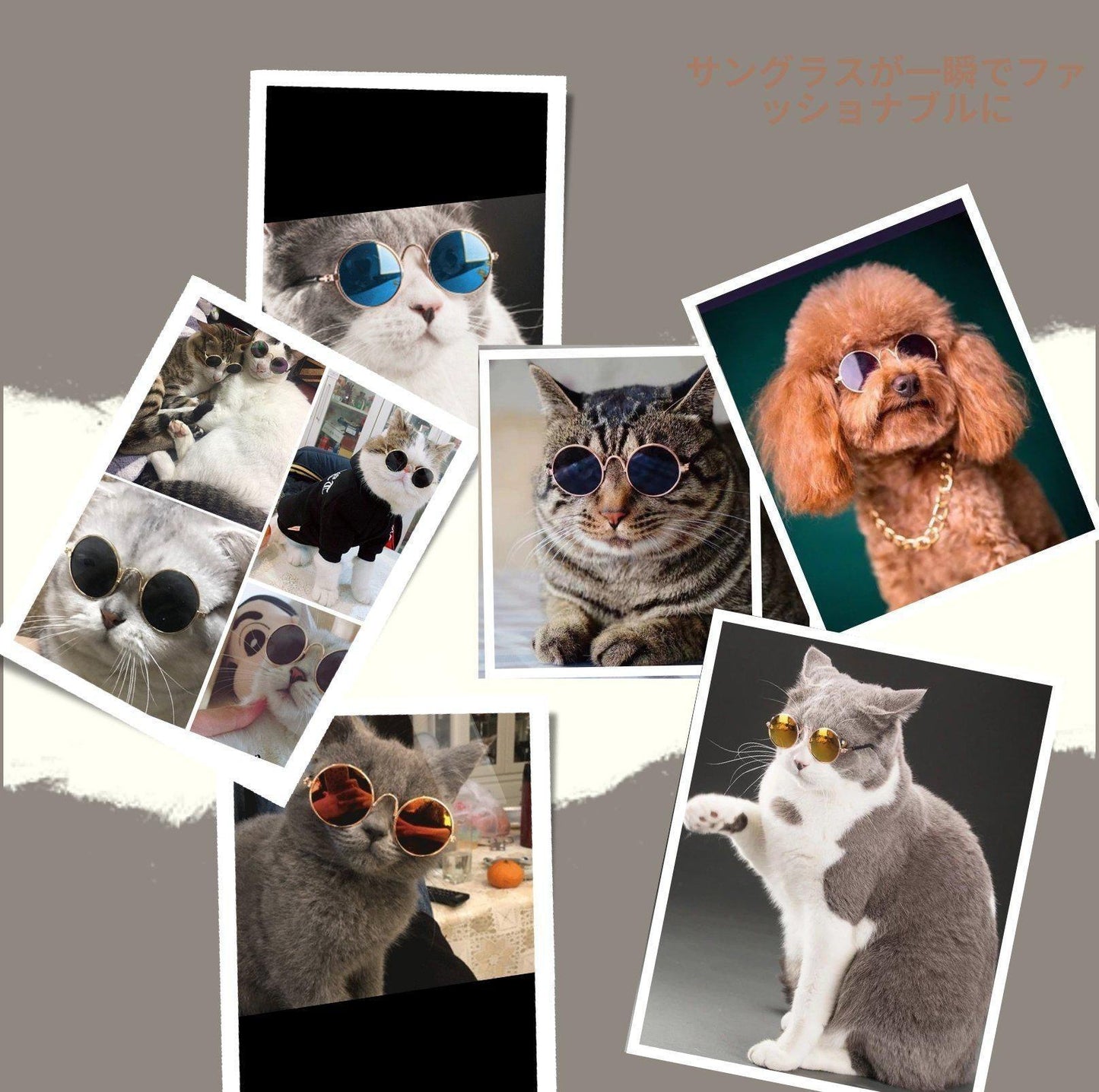Pet Trendy Sunglasses - {{product.type}} - PawPawUp
