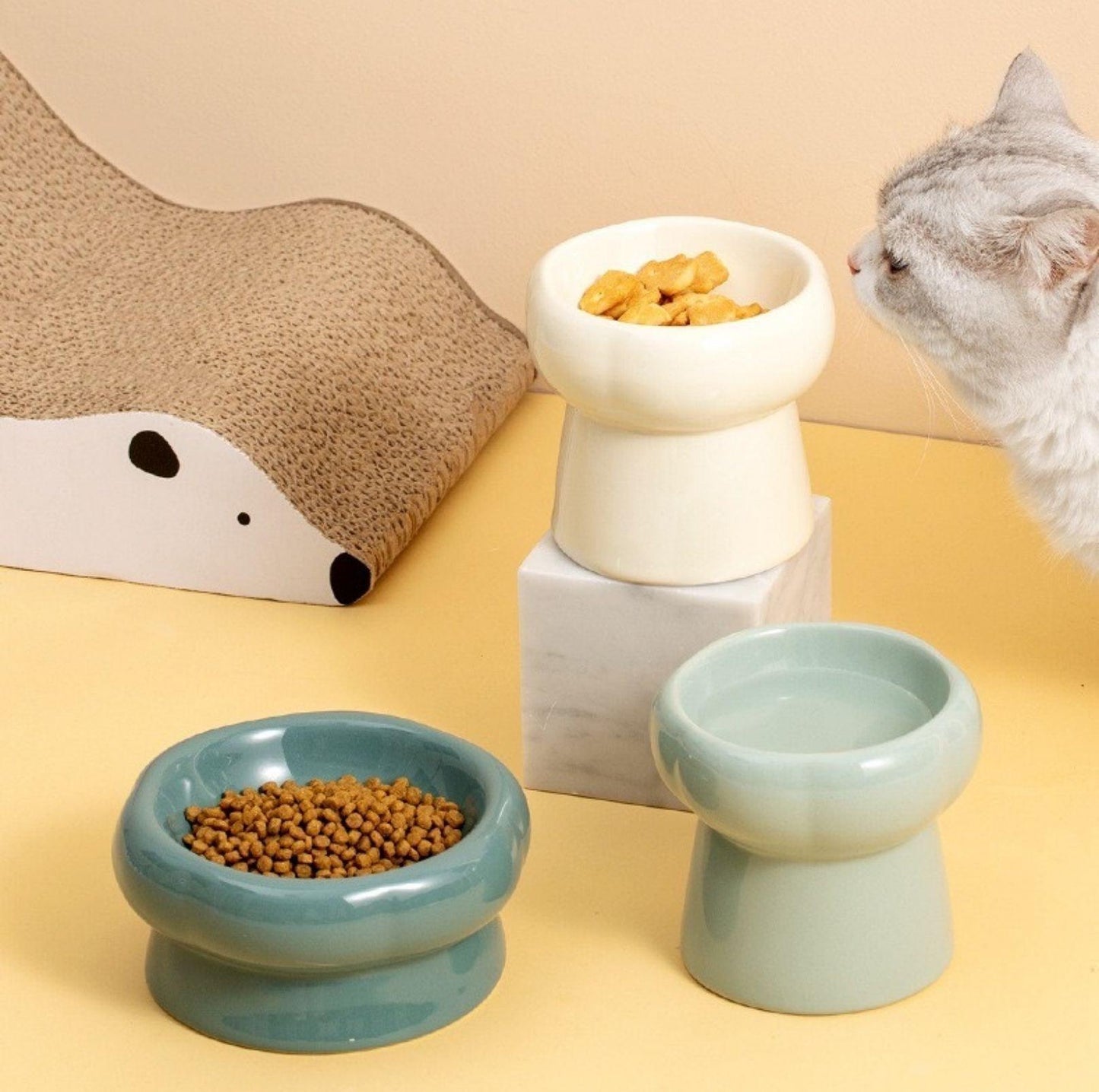 Petal Style Ceramic Cat Bowls and Small Dog Bowls - {{product.type}} - PawPawUp