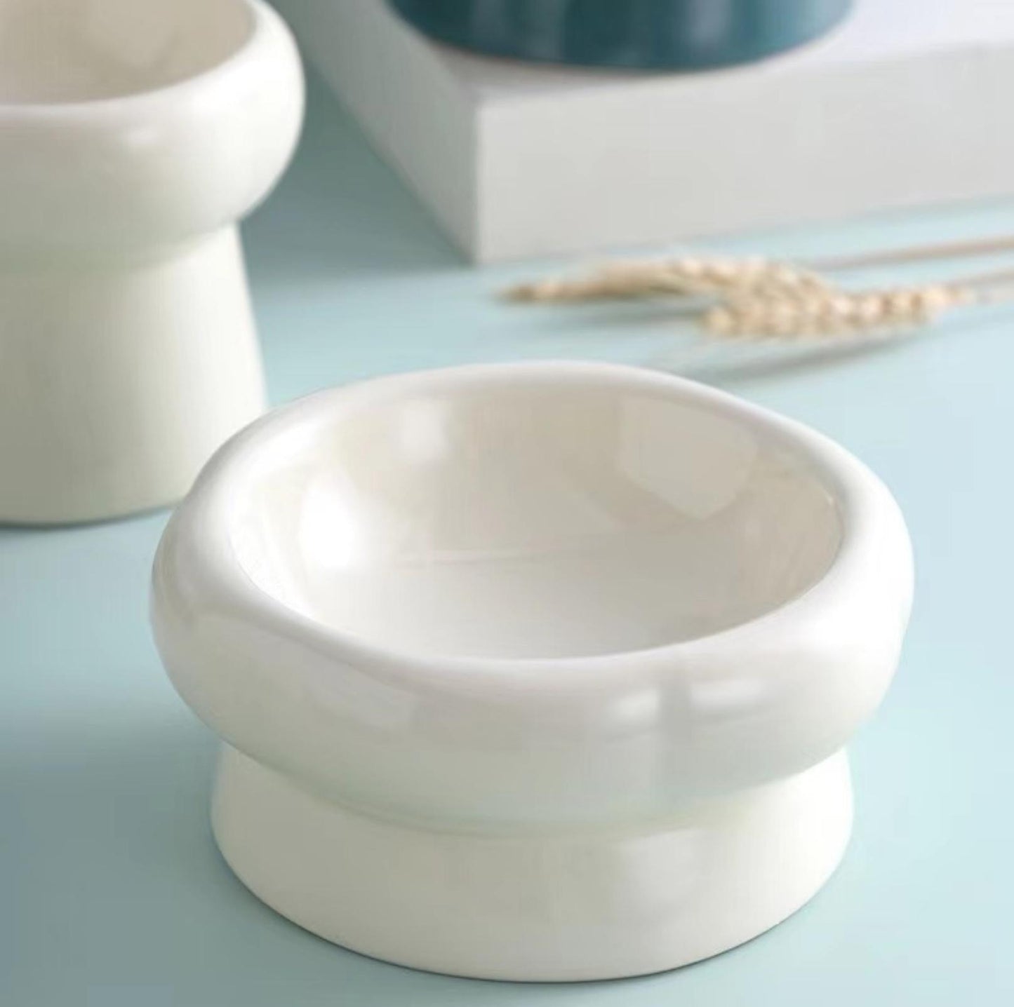 Petal Style Ceramic Cat Bowls and Small Dog Bowls - {{product.type}} - PawPawUp