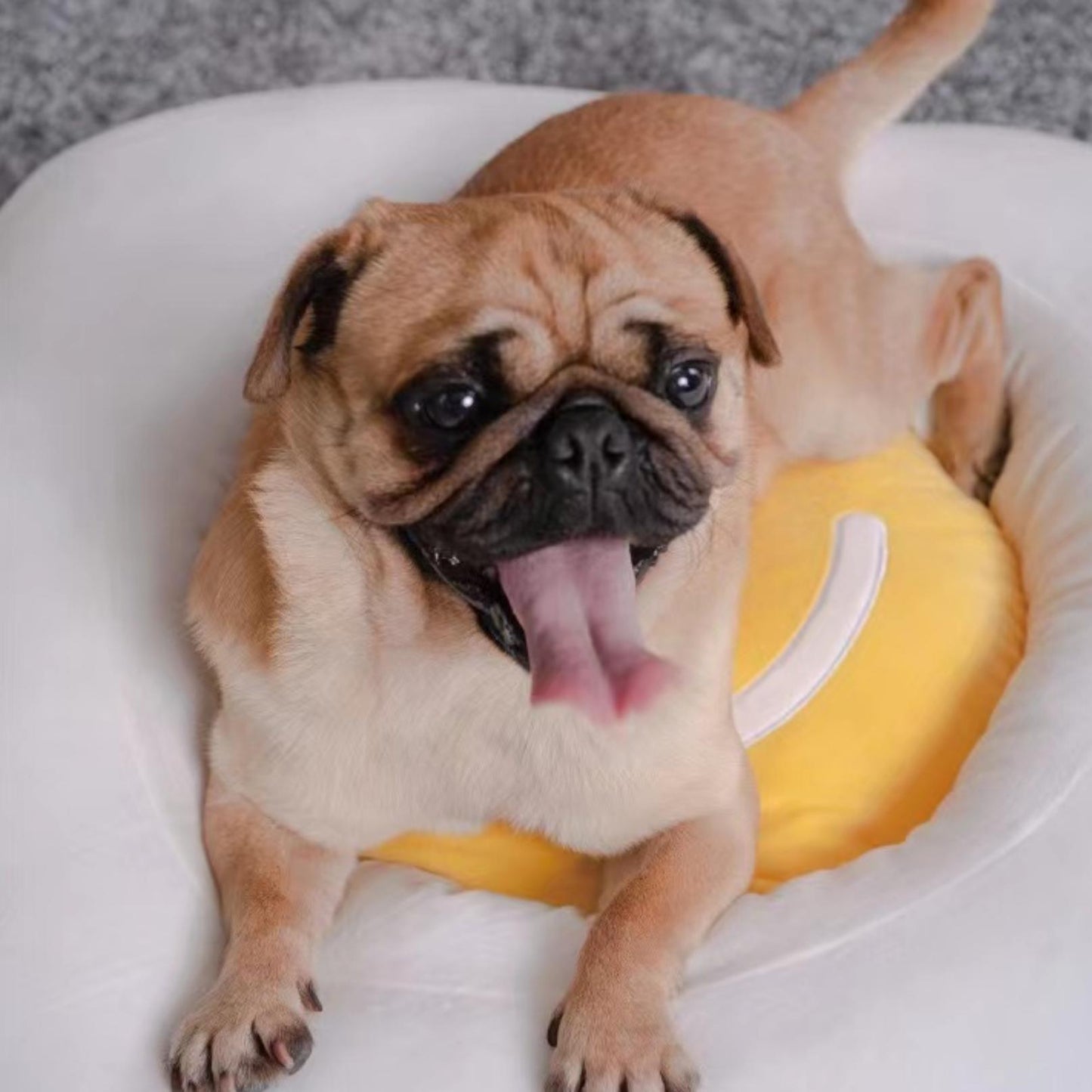 Purlab Fried Egg Cat Bed Dog Bed - {{product.type}} - PawPawUp