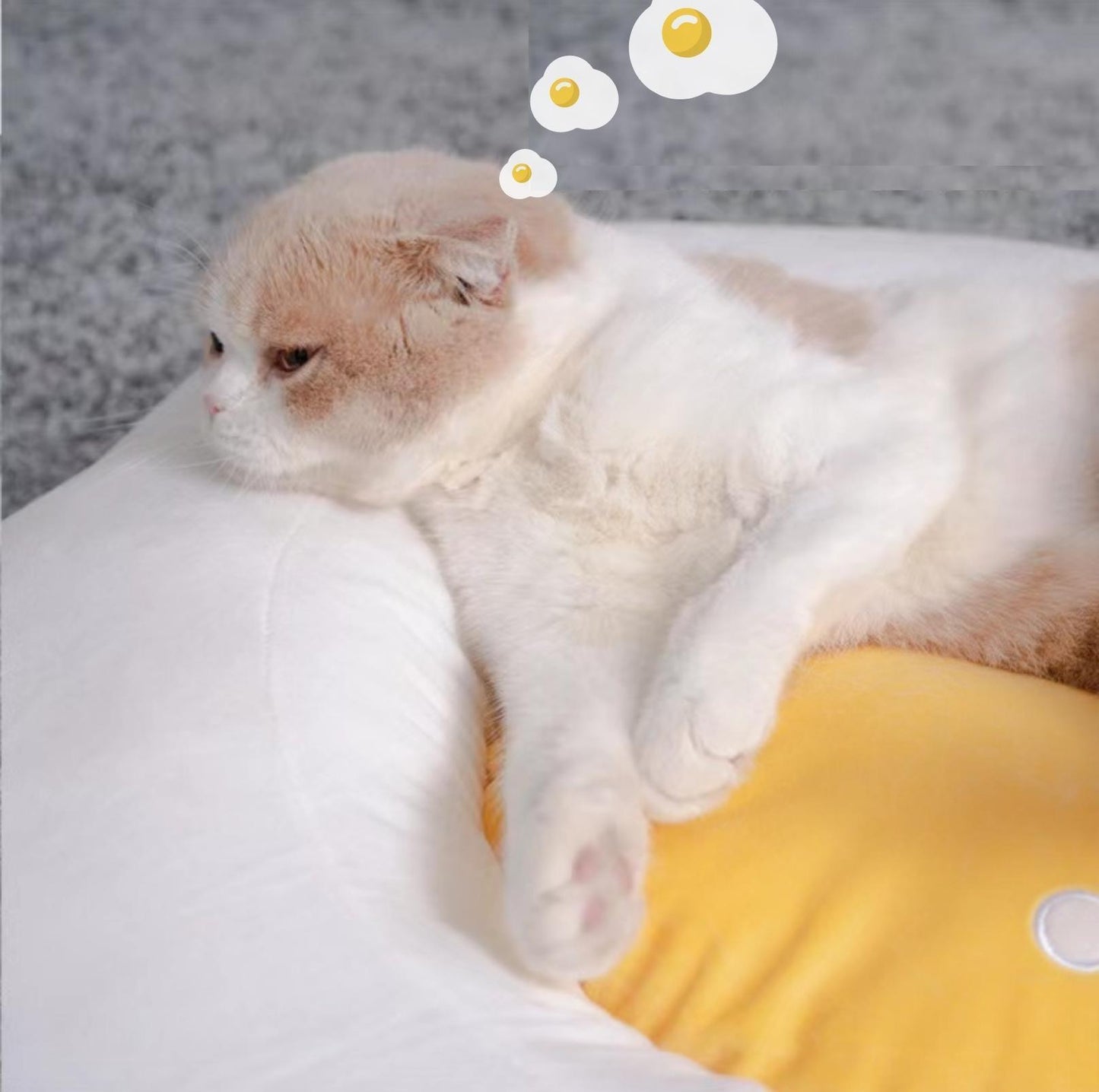 Purlab Fried Egg Cat Bed Dog Bed - {{product.type}} - PawPawUp