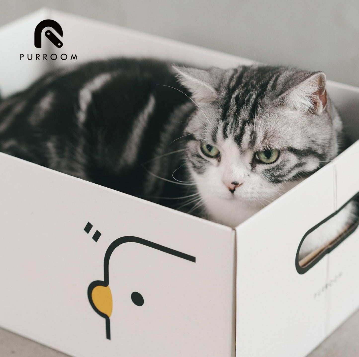 PURROOM Little Chick Series 2 In 1 Cat Scratcher Box - {{product.type}} - PawPawUp