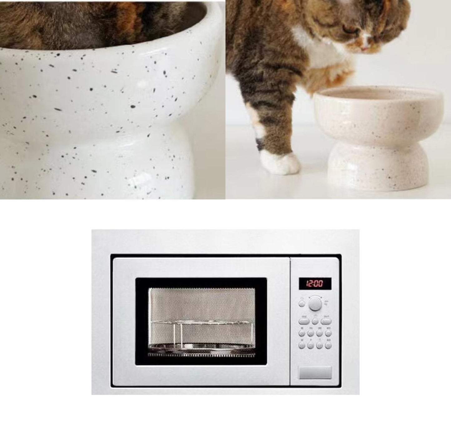 PURROOM Speckle Elevated Ceramic Cat Bowls Small Dog Bowls - {{product.type}} - PawPawUp