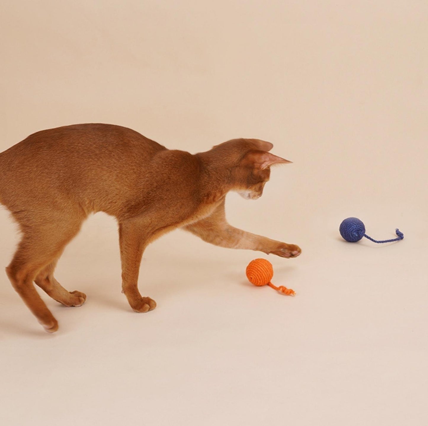 ZeZe Sisal Rope Balls Cat Toys Set - {{product.type}} - PawPawUp