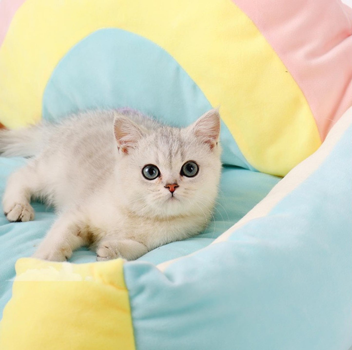 Soft Rainbow Cat Bed Dog Bed - {{product.type}} - PawPawUp