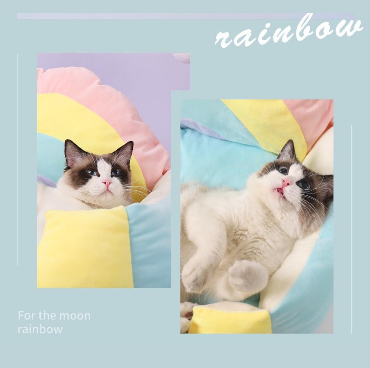 Soft Rainbow Cat Bed Dog Bed - {{product.type}} - PawPawUp