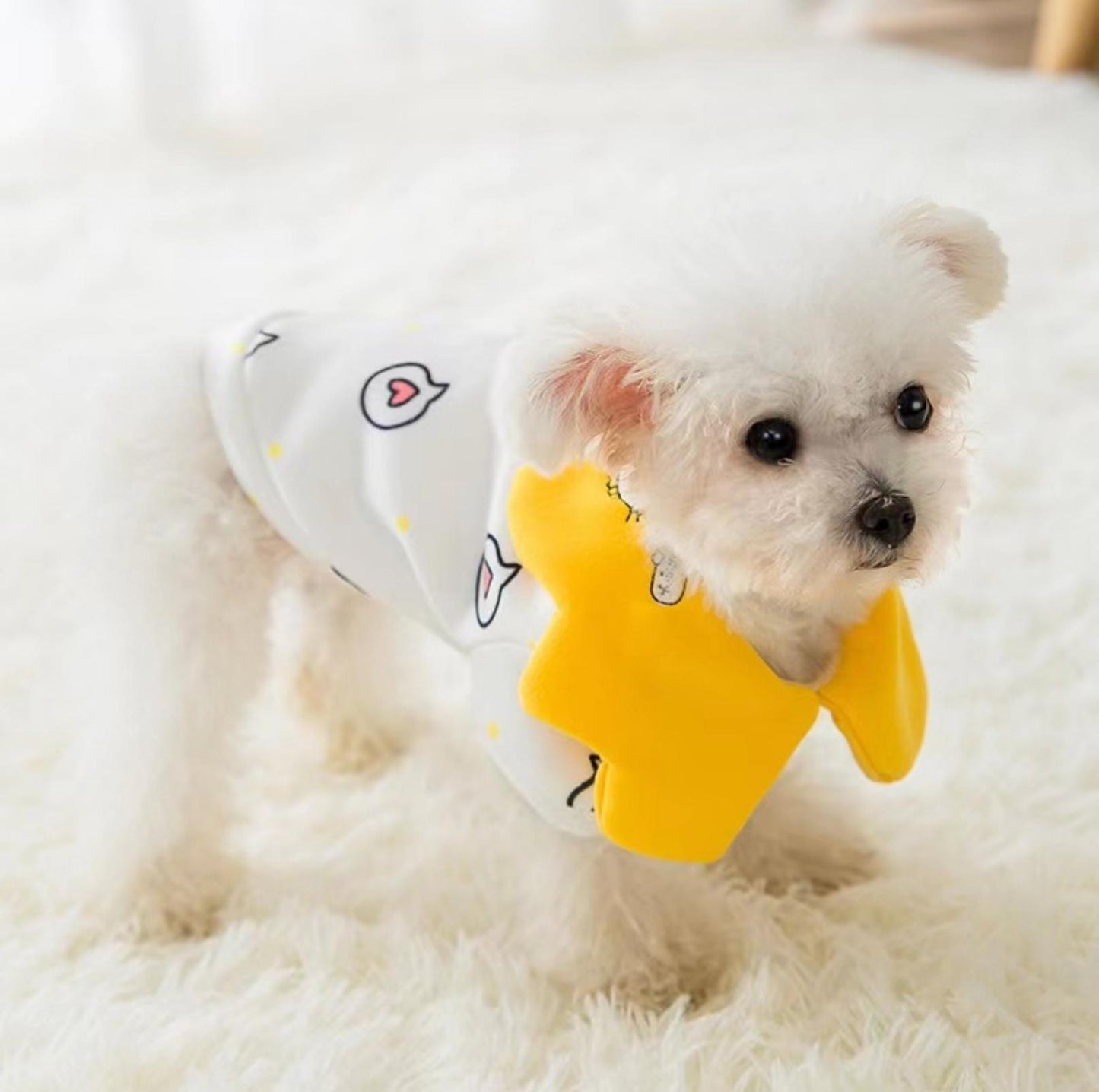 Spring Heart Dot Cartoon Dog And Cat Sweatshirt Pet Apparels - {{product.type}} - PawPawUp