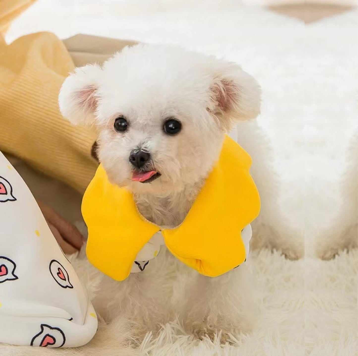 Spring Heart Dot Cartoon Dog And Cat Sweatshirt Pet Apparels - {{product.type}} - PawPawUp