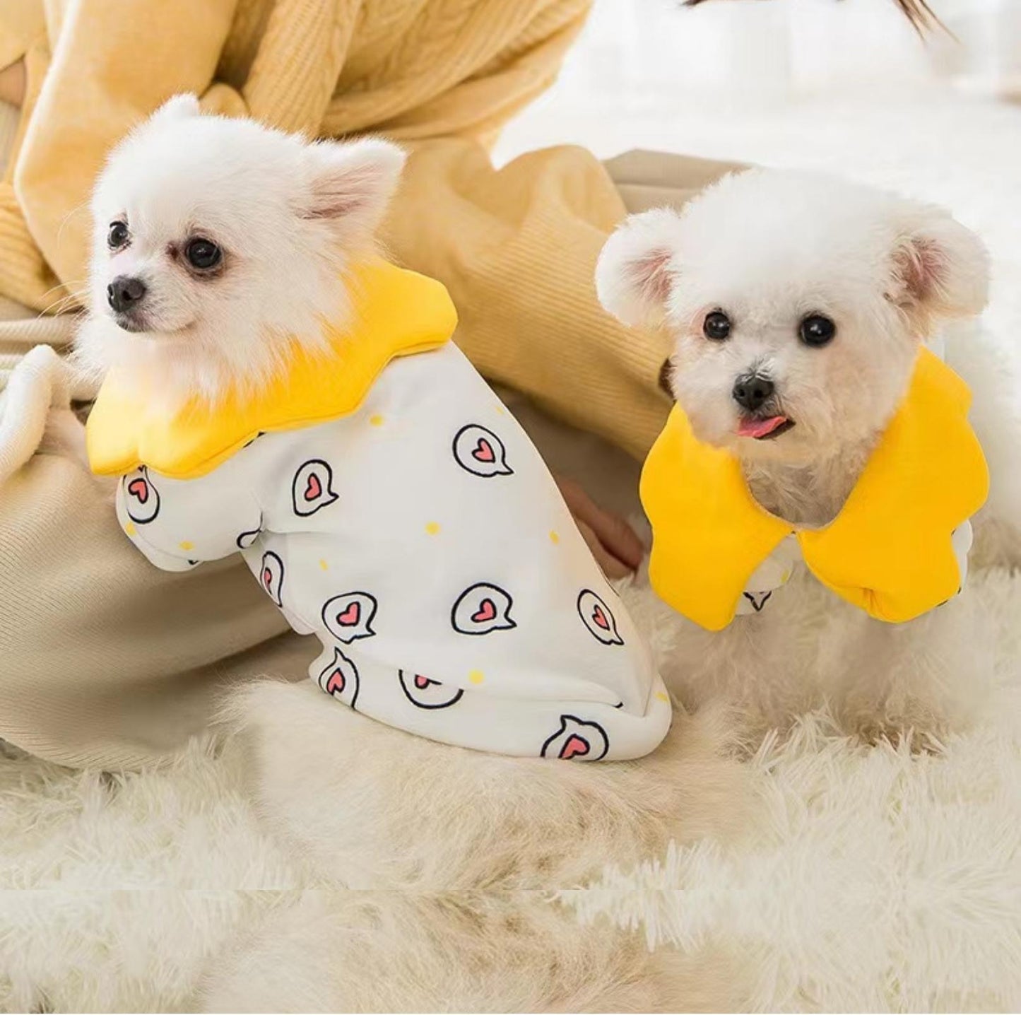Spring Heart Dot Cartoon Dog And Cat Sweatshirt Pet Apparels - {{product.type}} - PawPawUp