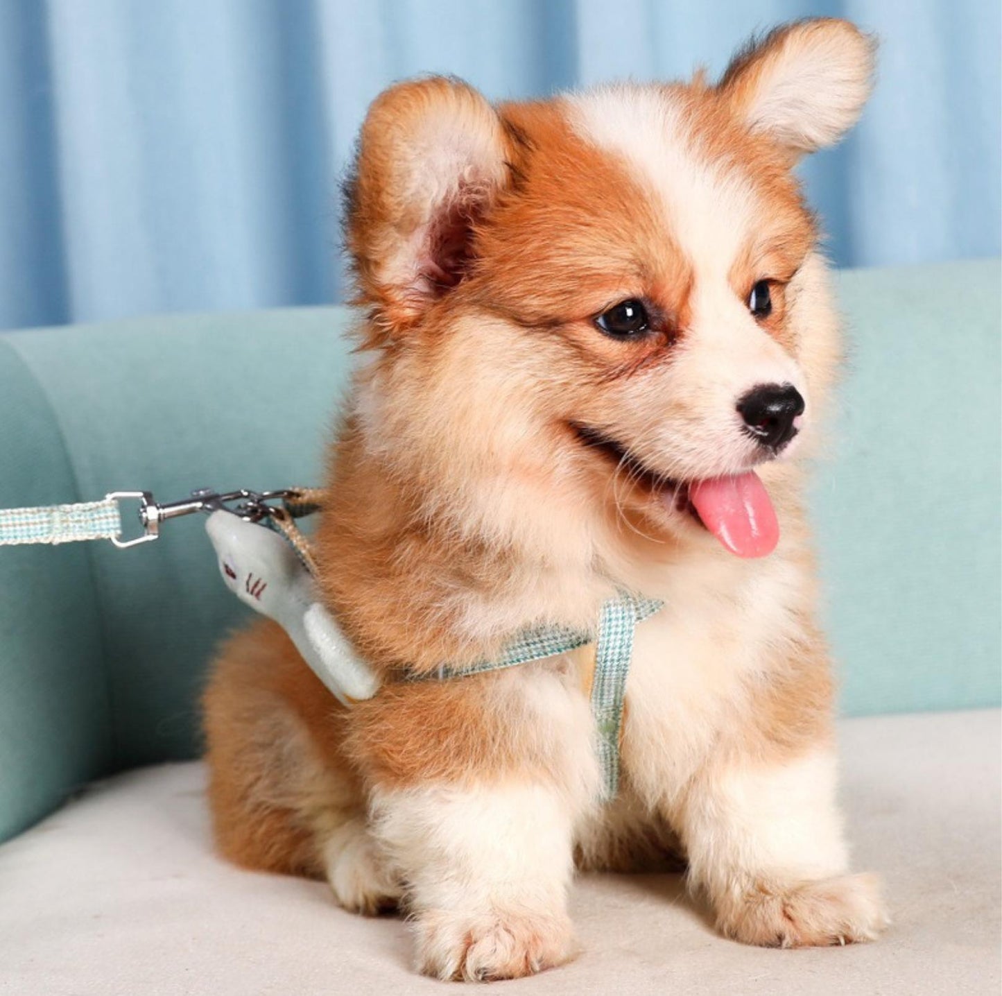 Stunning Pet Leash with Embroidered Cartoon - {{product.type}} - PawPawUp