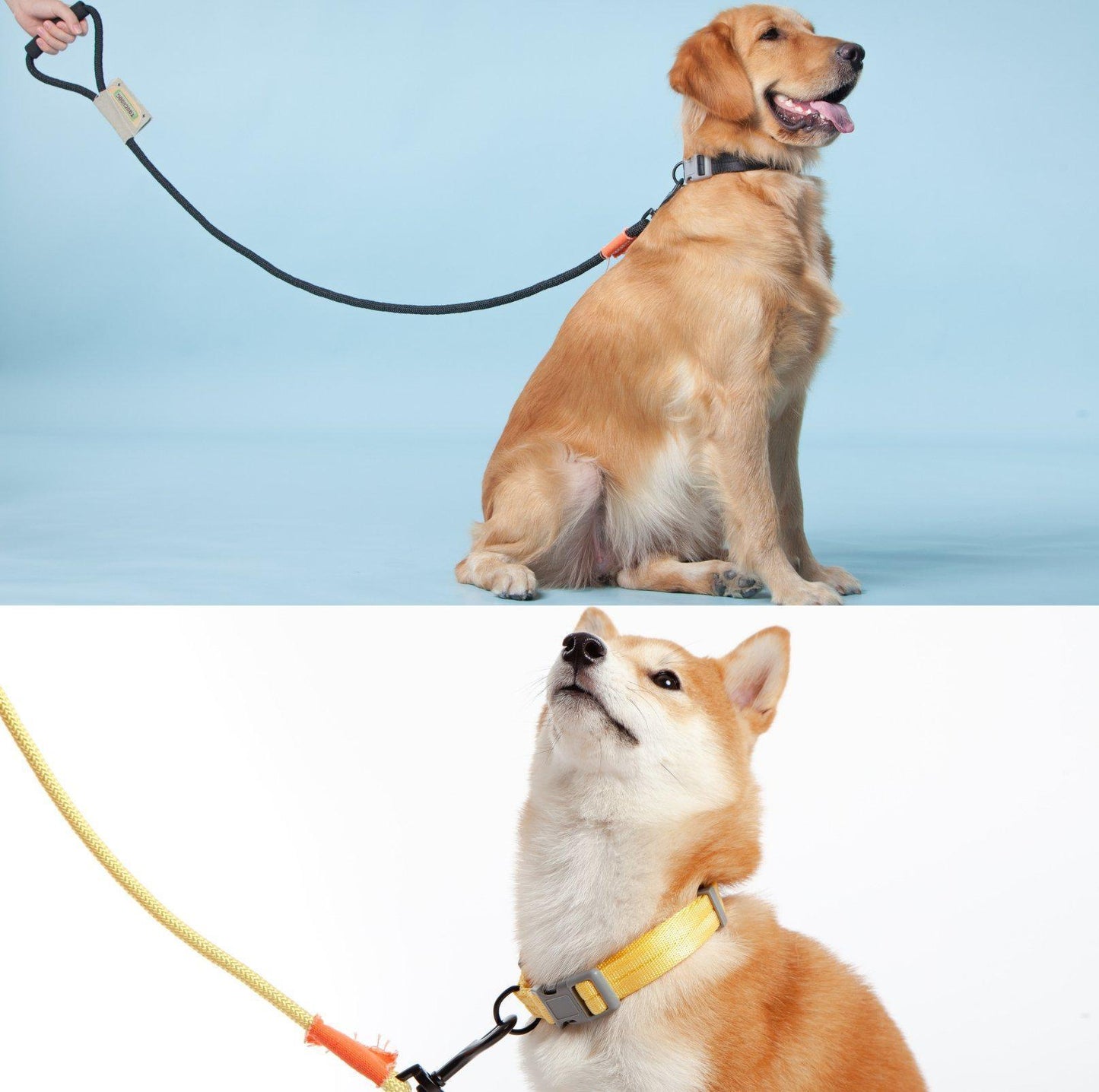 Touchdog Macaroon Colour Scheme Pet Leash Set (Leash + Collar) - {{product.type}} - PawPawUp