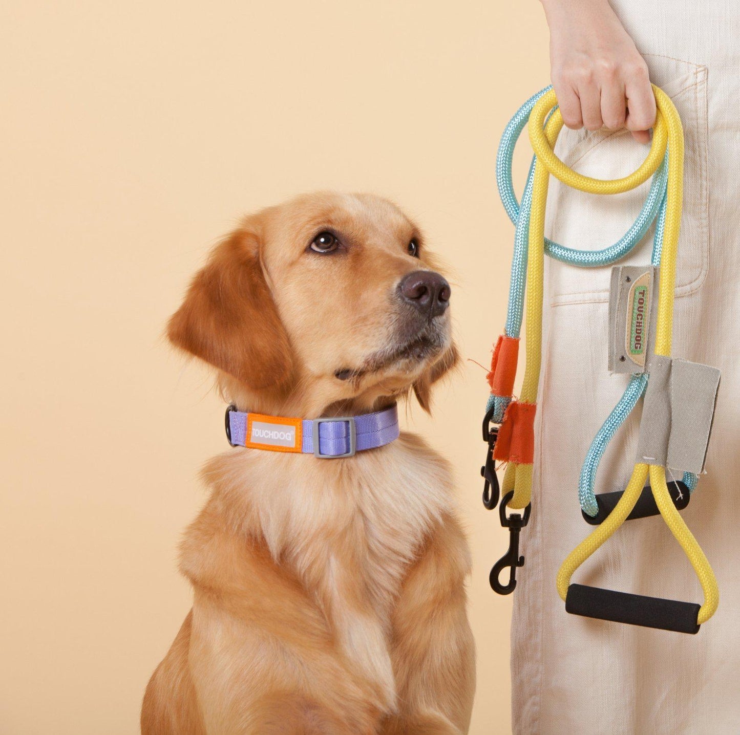 Touchdog Macaroon Colour Scheme Pet Leash Set (Leash + Collar) - {{product.type}} - PawPawUp
