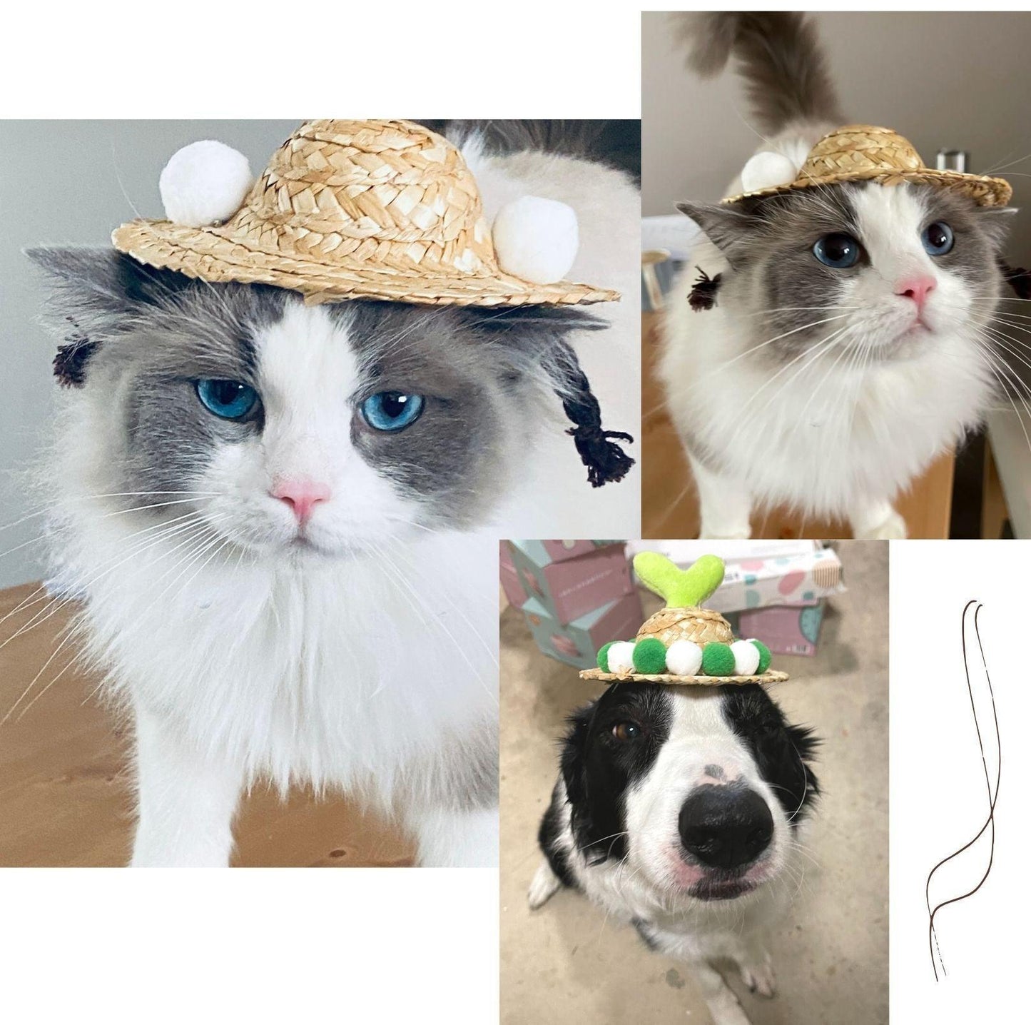 Unique Style Pet Straw Hat - {{product.type}} - PawPawUp