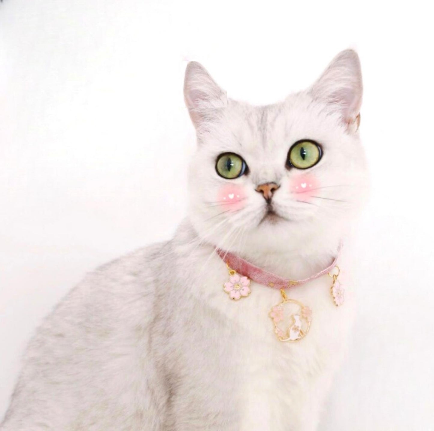 Velvet Adjustable Pet Collar With Bronzing Pendants - {{product.type}} - PawPawUp
