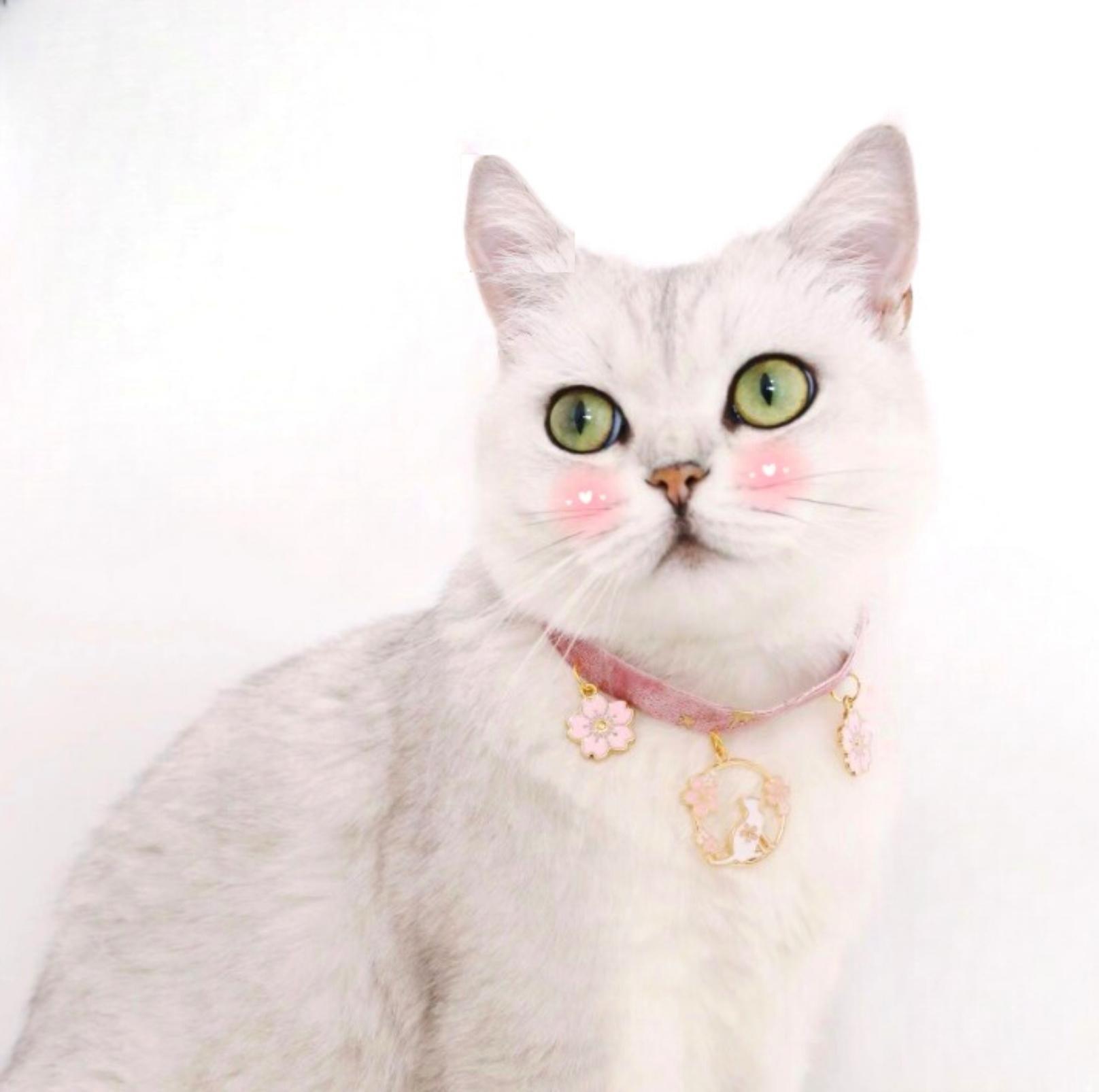 Velvet Adjustable Pet Collar With Bronzing Pendants - {{product.type}} - PawPawUp