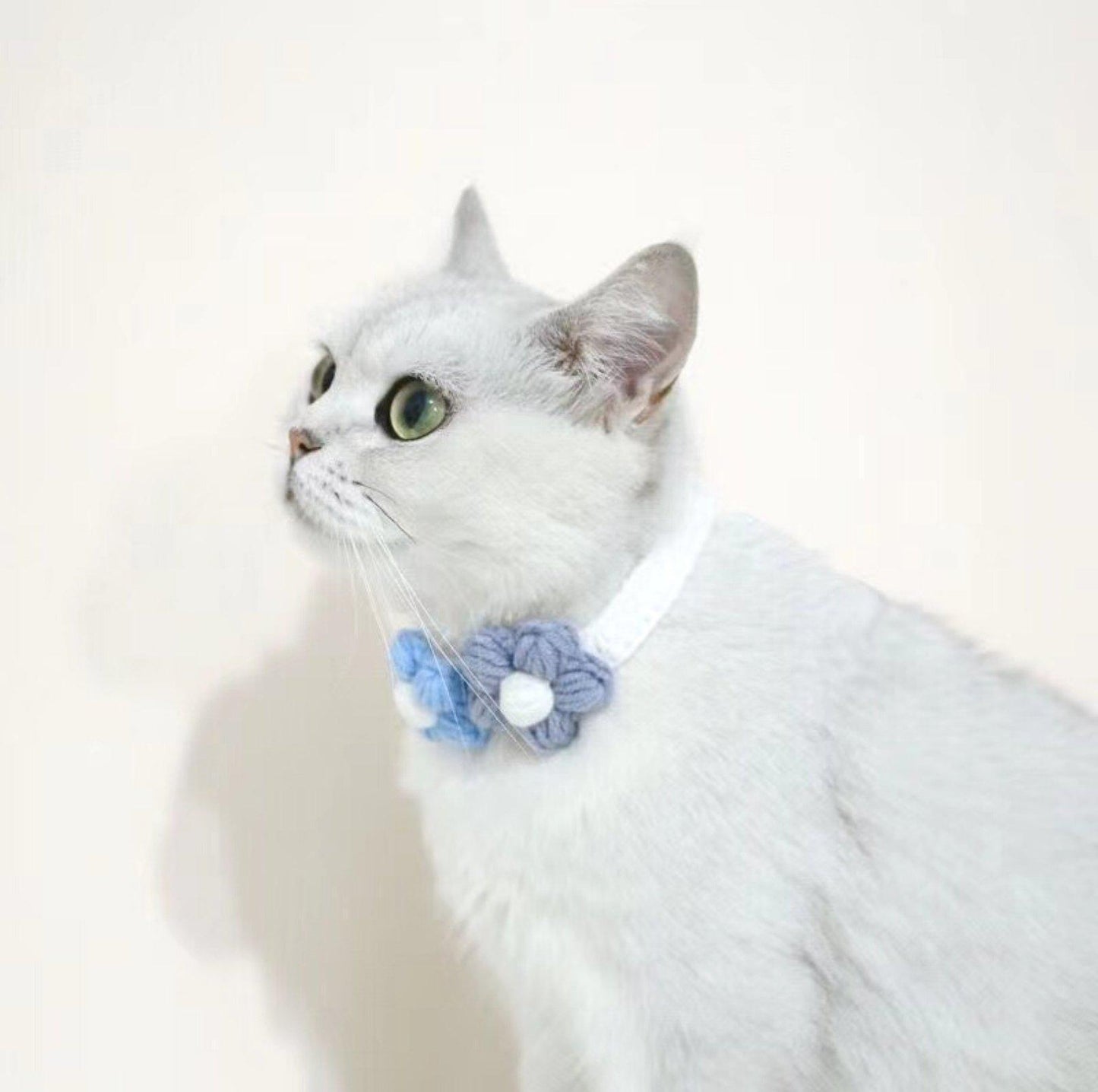 Woolen Knitting Sunflower Pet Collar - {{product.type}} - PawPawUp