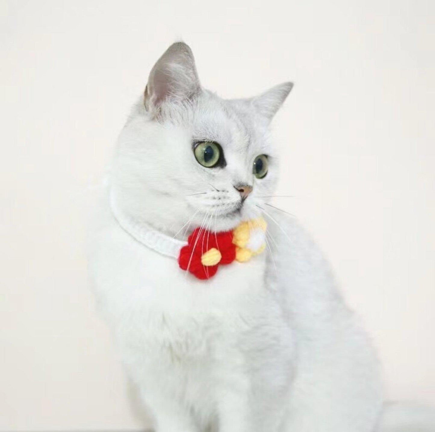 Woolen Knitting Sunflower Pet Collar - {{product.type}} - PawPawUp