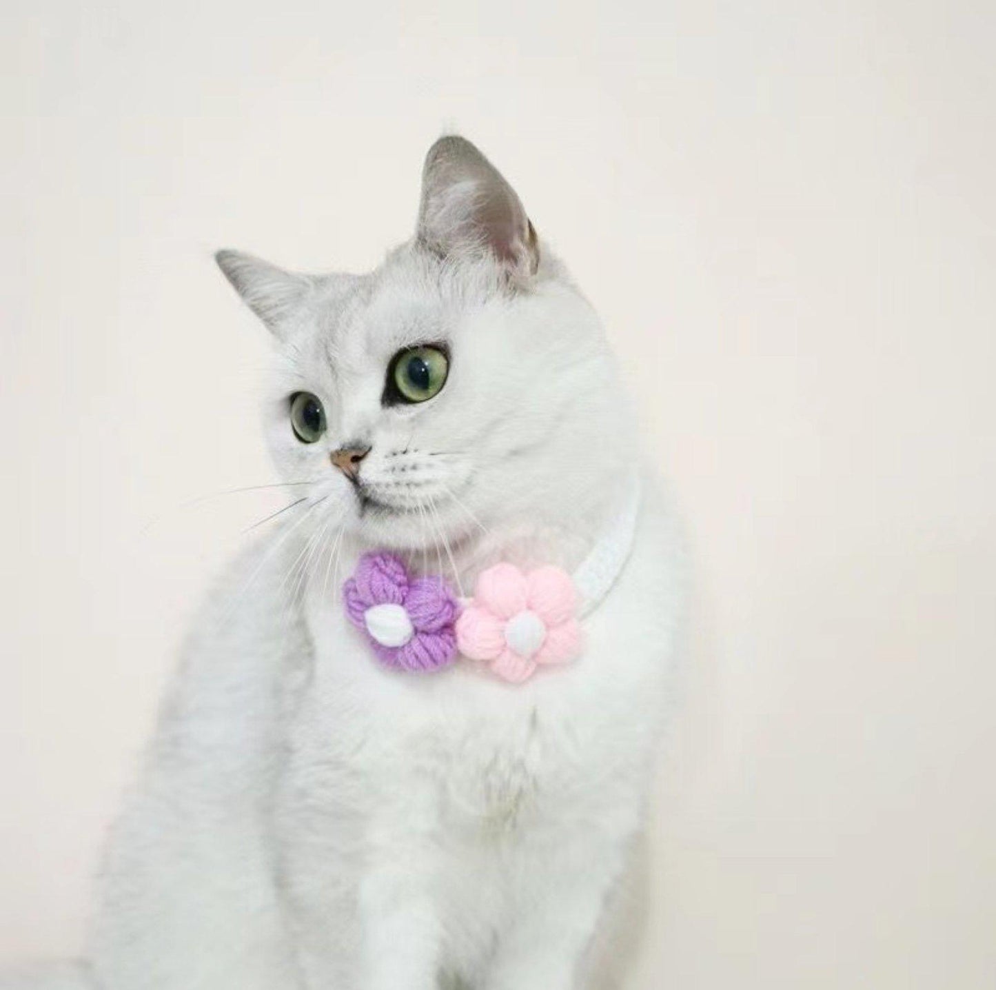 Woolen Knitting Sunflower Pet Collar - {{product.type}} - PawPawUp
