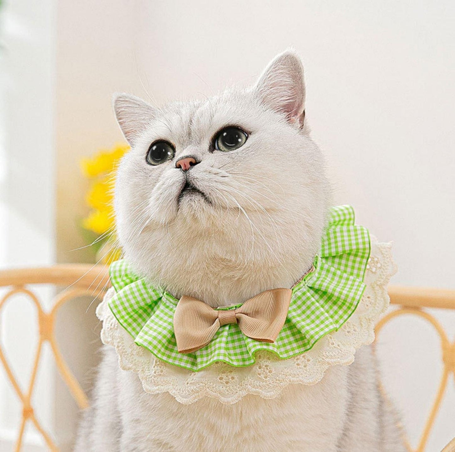 Woven Plaid Bow-Tie Pet Bib - {{product.type}} - PawPawUp