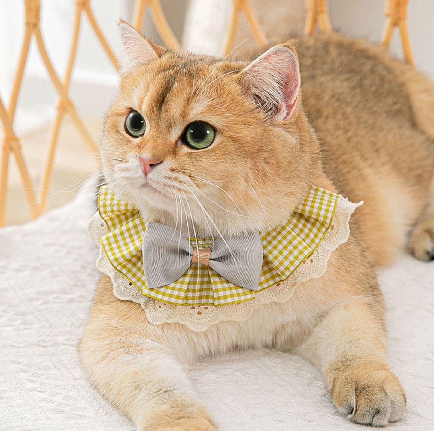 Woven Plaid Bow-Tie Pet Bib - {{product.type}} - PawPawUp