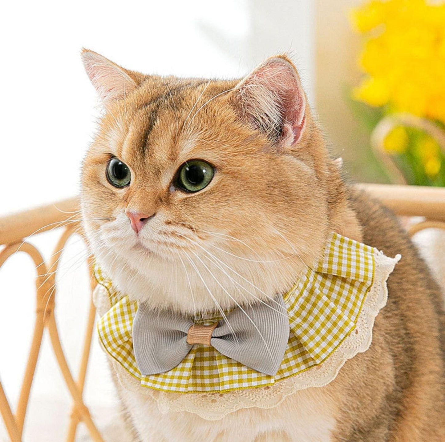 Woven Plaid Bow-Tie Pet Bib - {{product.type}} - PawPawUp