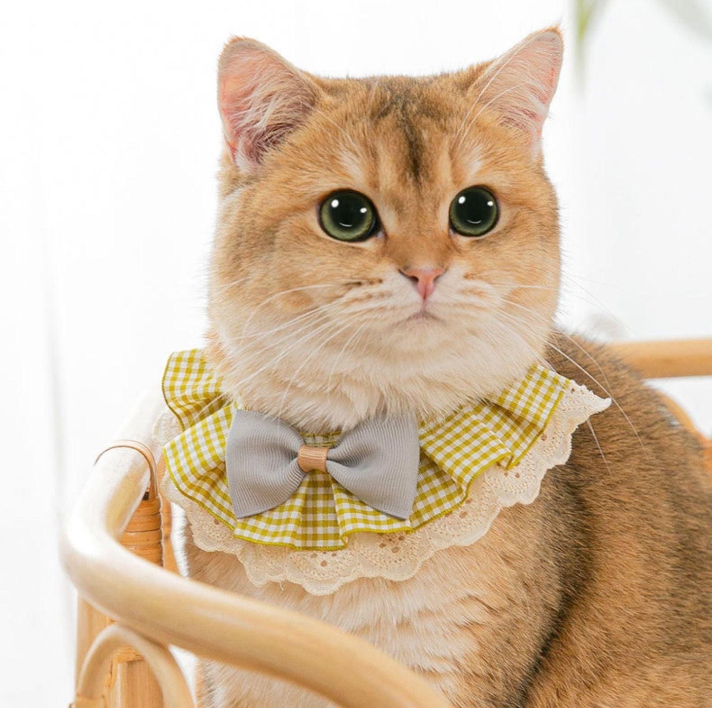 Woven Plaid Bow-Tie Pet Bib - {{product.type}} - PawPawUp