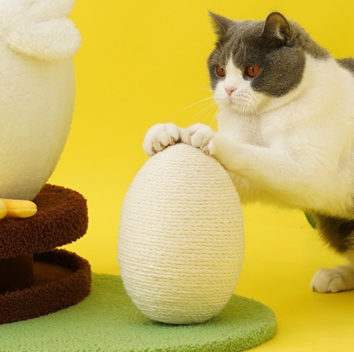 ZeZe Cluck Four Season Multi-Functional Cat Bed House With Scratchers - {{product.type}} - PawPawUp