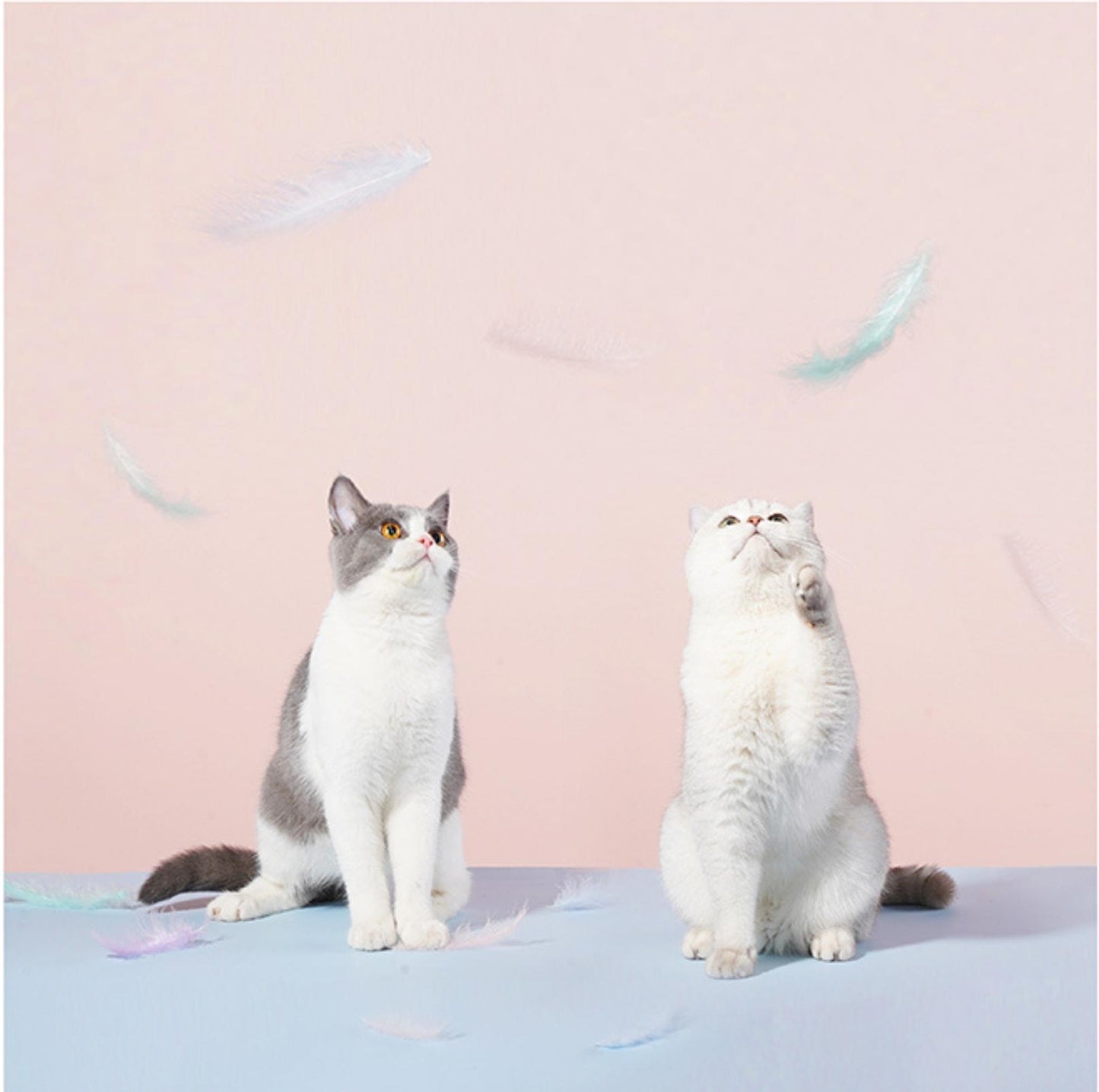 ZeZe Fairy Feather Cat Stick Toys - {{product.type}} - PawPawUp