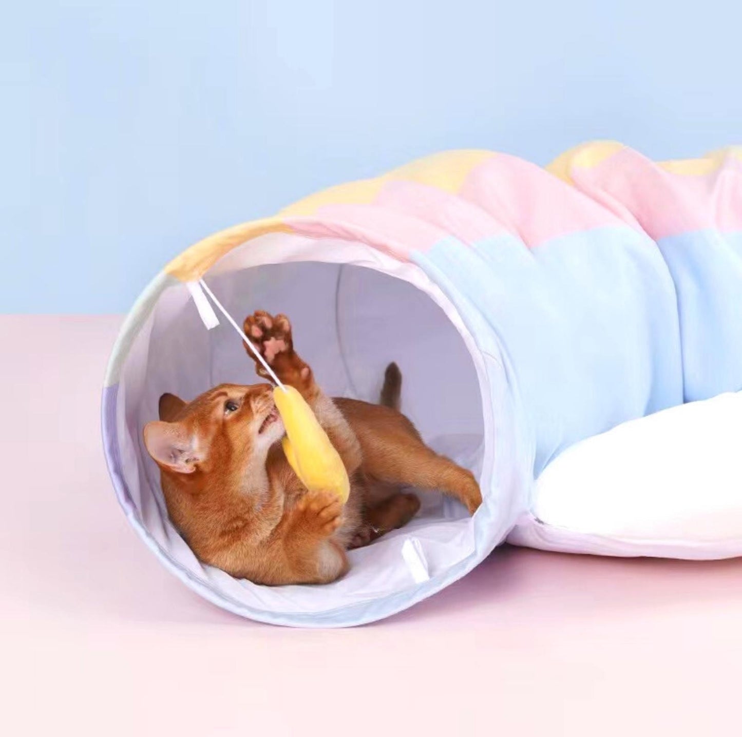 ZeZe Rainbow Tunnel Toys and Removable Cat Bed - {{product.type}} - PawPawUp