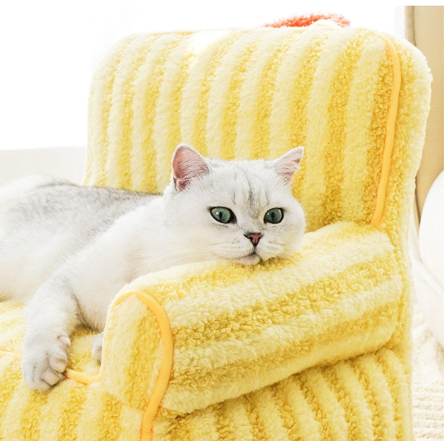 ZeZe Striped Style All Season Pet Sofa Cat Bed Dog Bed - {{product.type}} - PawPawUp