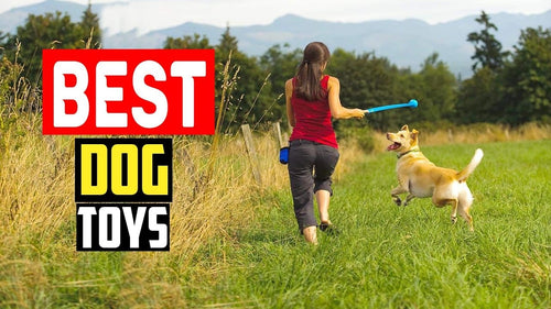 Dog toy cover image