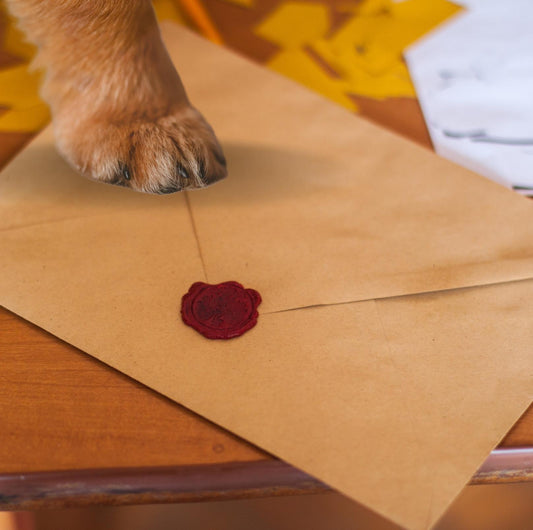 A Letter From Your Loving Pet - PawPawUp