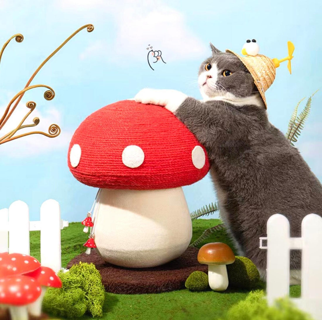 Determining which Cat Toys to Purchase - PawPawUp