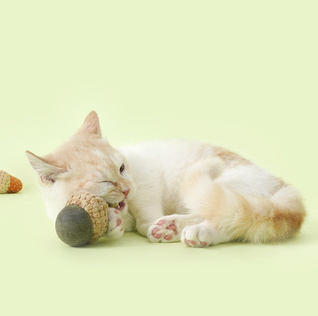 Feline-Frendly Herbaceous-Based Cat Toy-Know The Differences Before Make Your Cat Go Crazy - PawPawUp